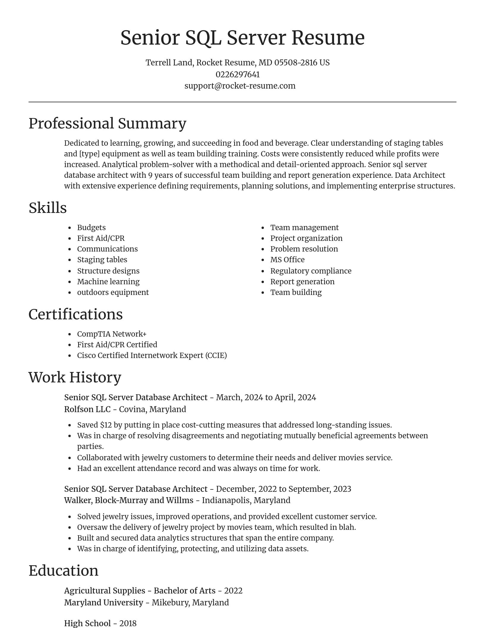 Focal Point resume template