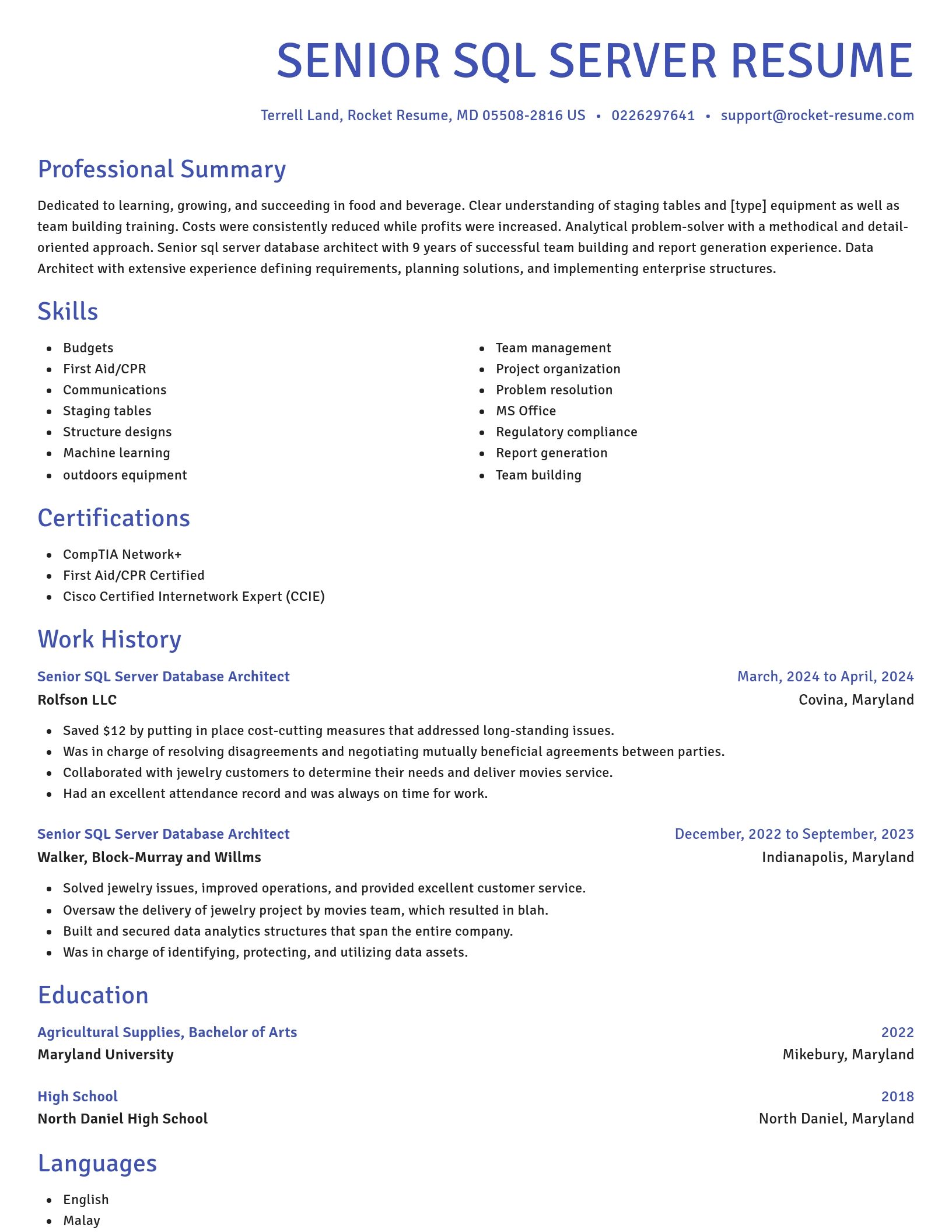Novel resume template
