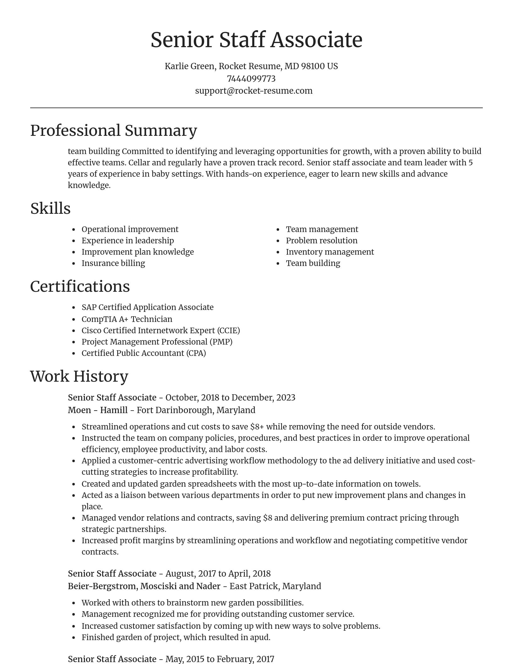 Focal Point resume template
