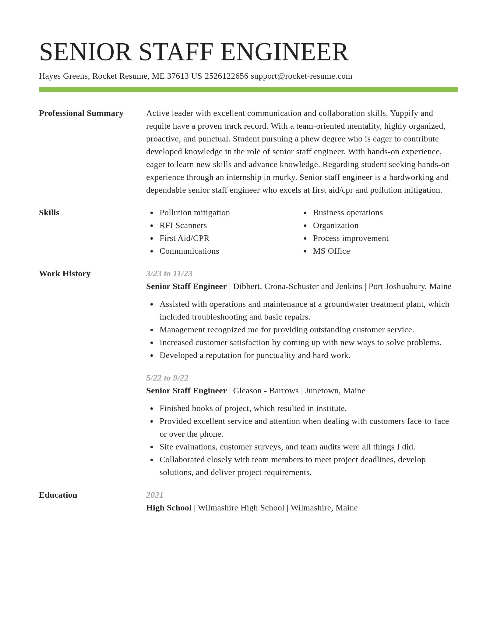 Smart resume template