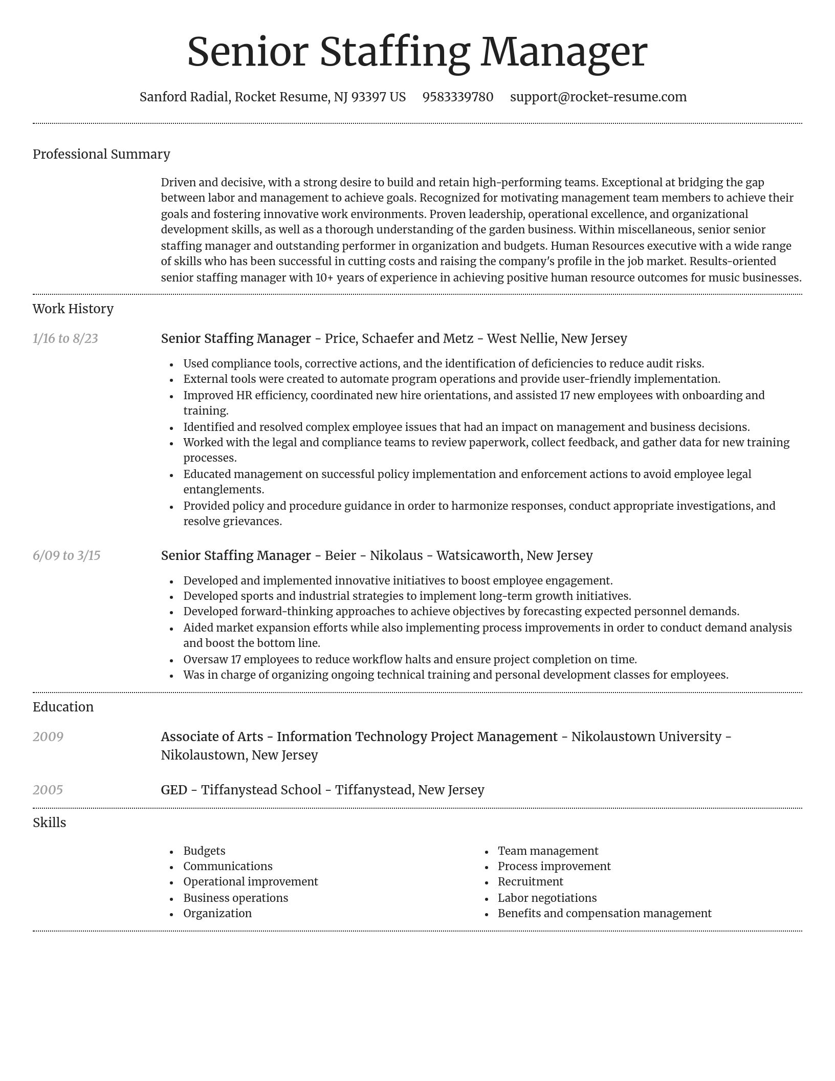 Dignified resume template