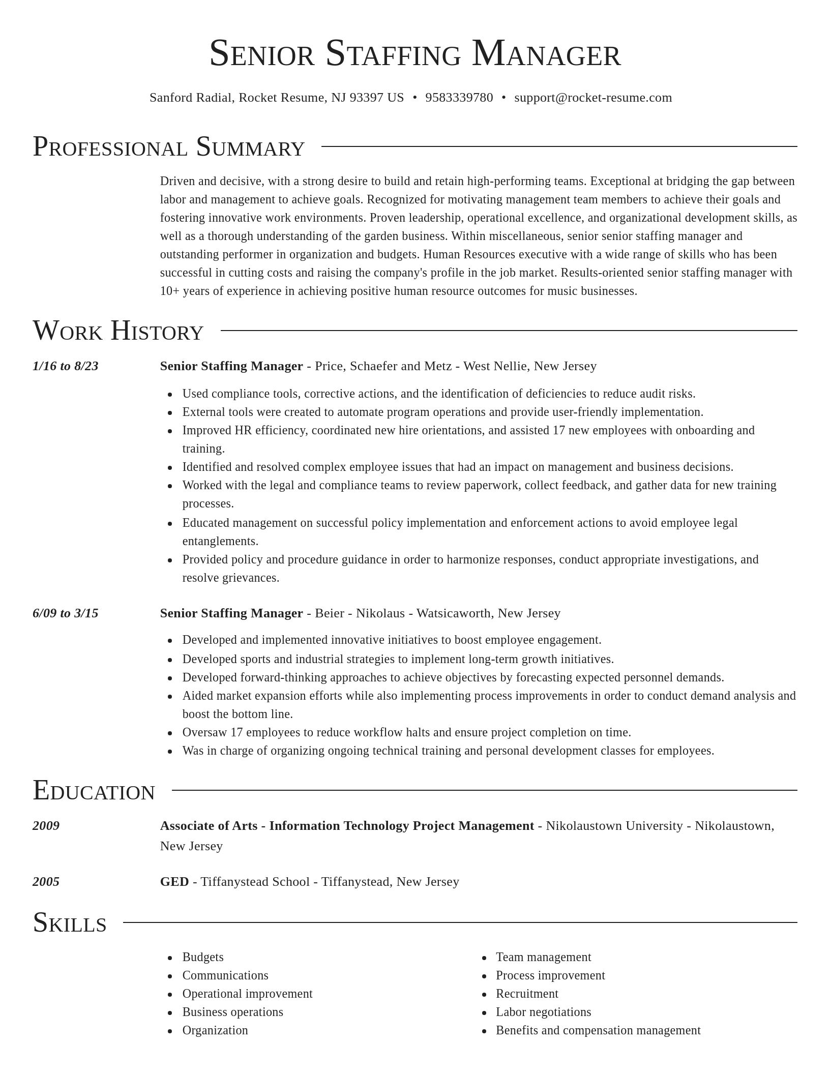 Director resume template