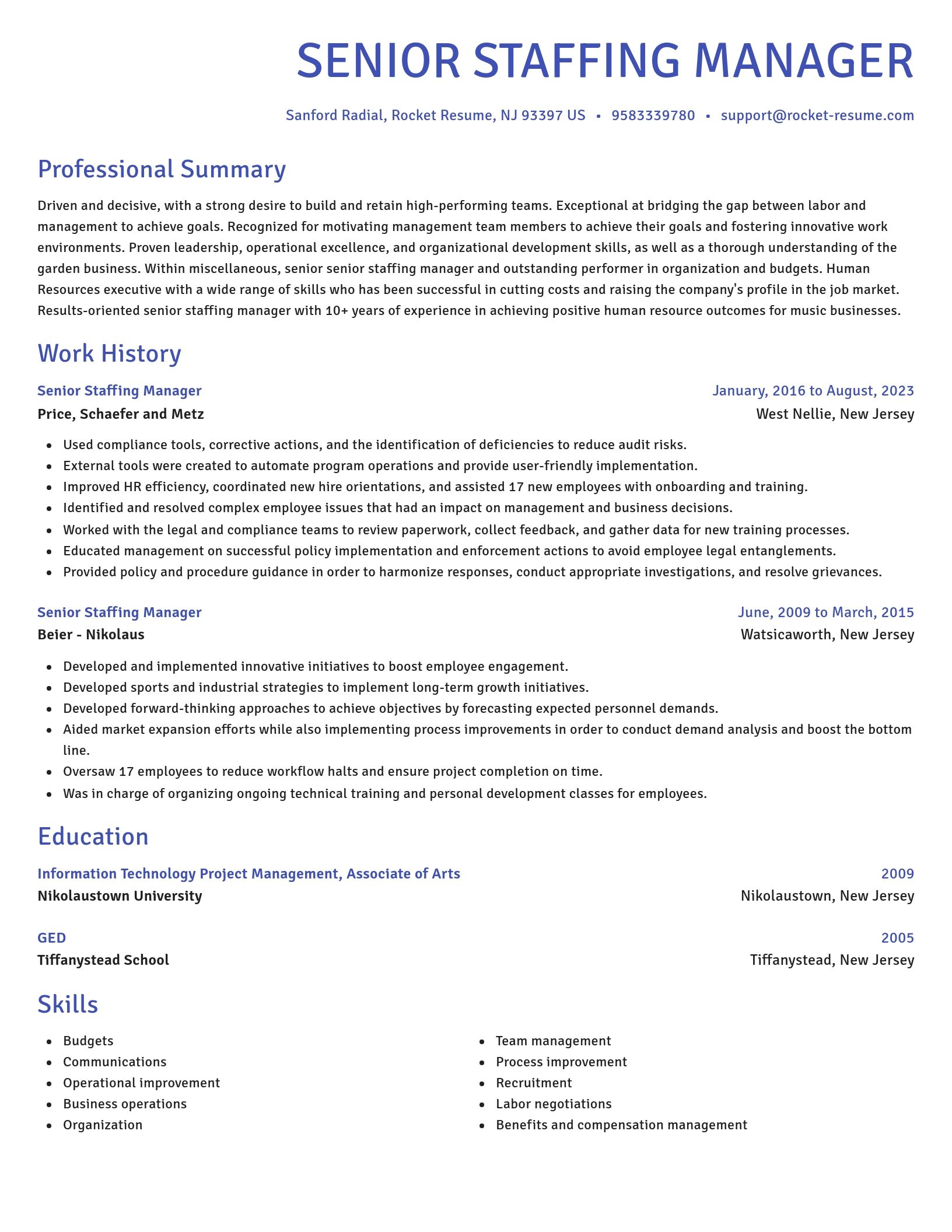 Novel resume template