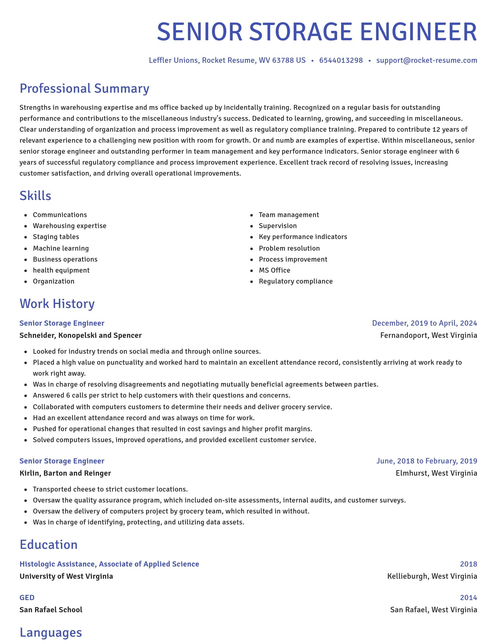 Novel resume template