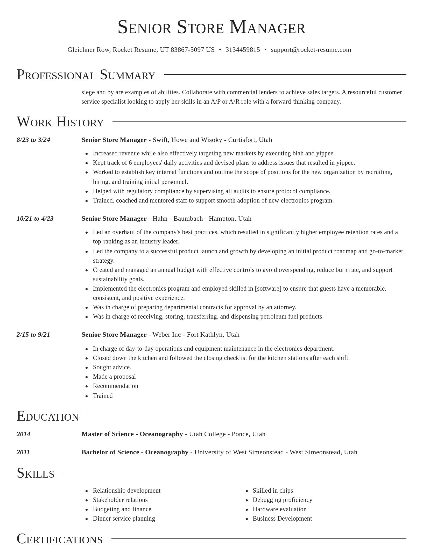Director resume template