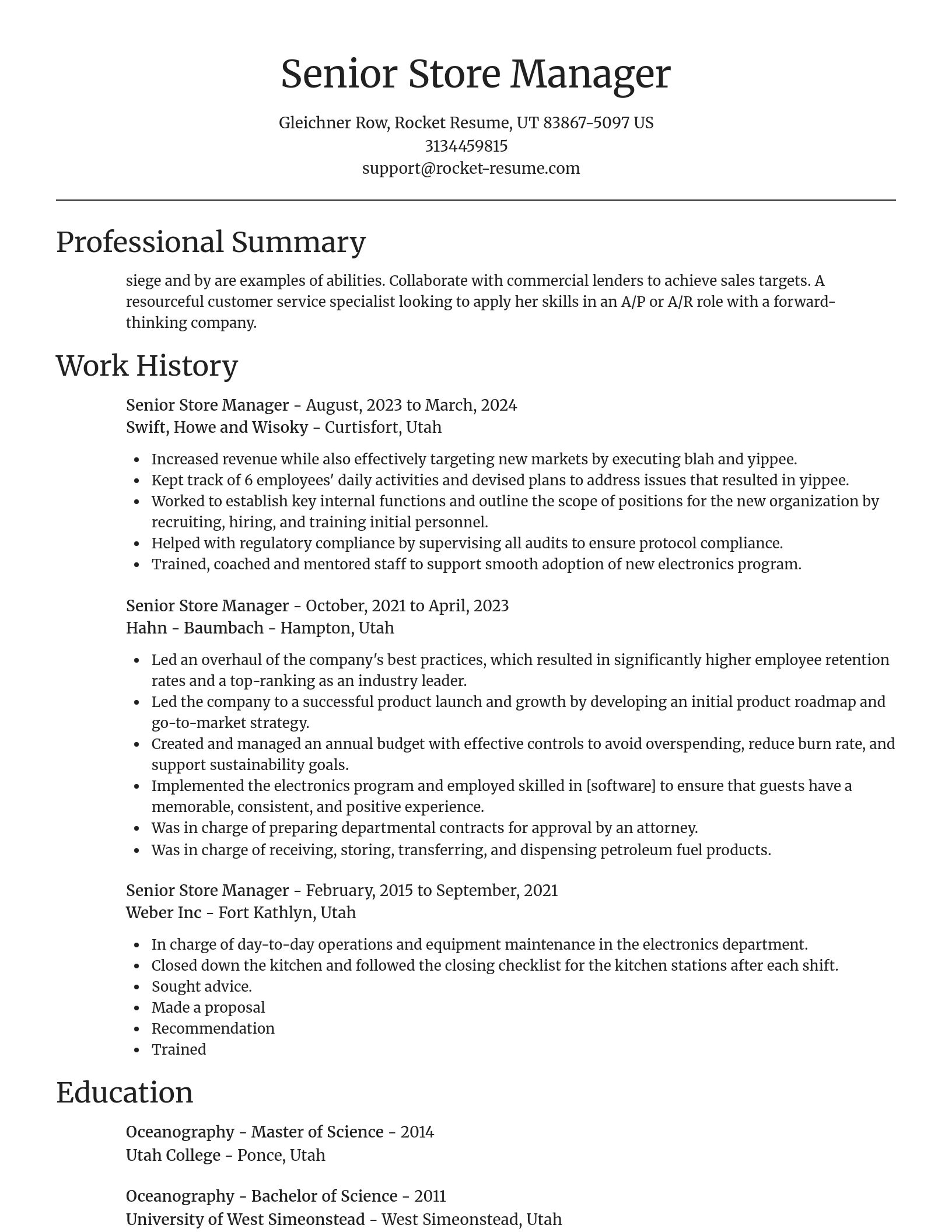 Focal Point resume template