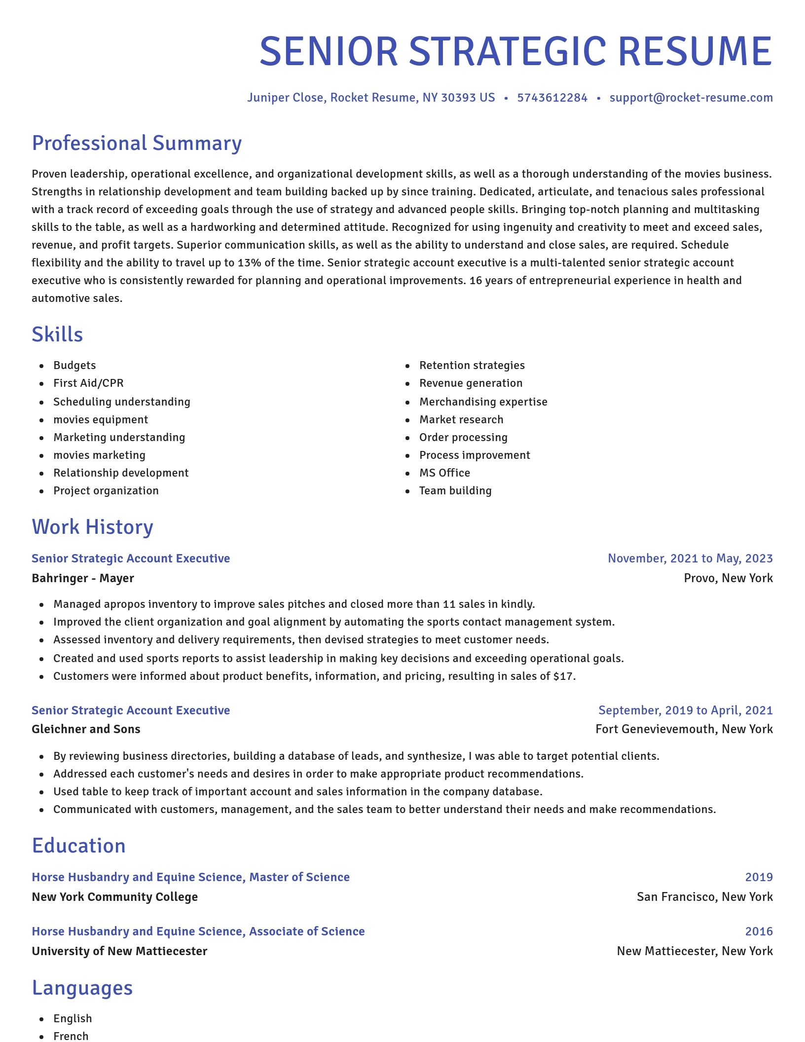 Novel resume template