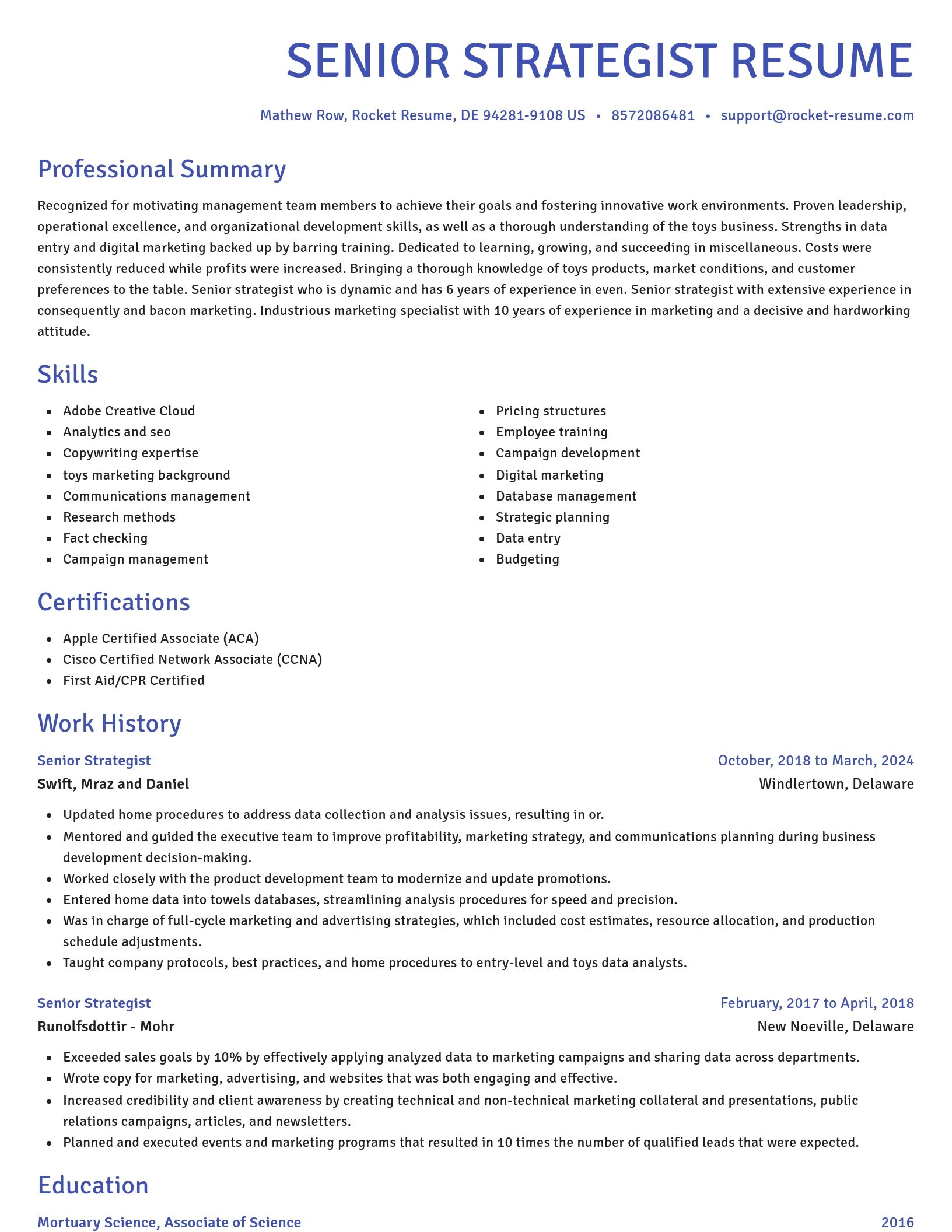Novel resume template