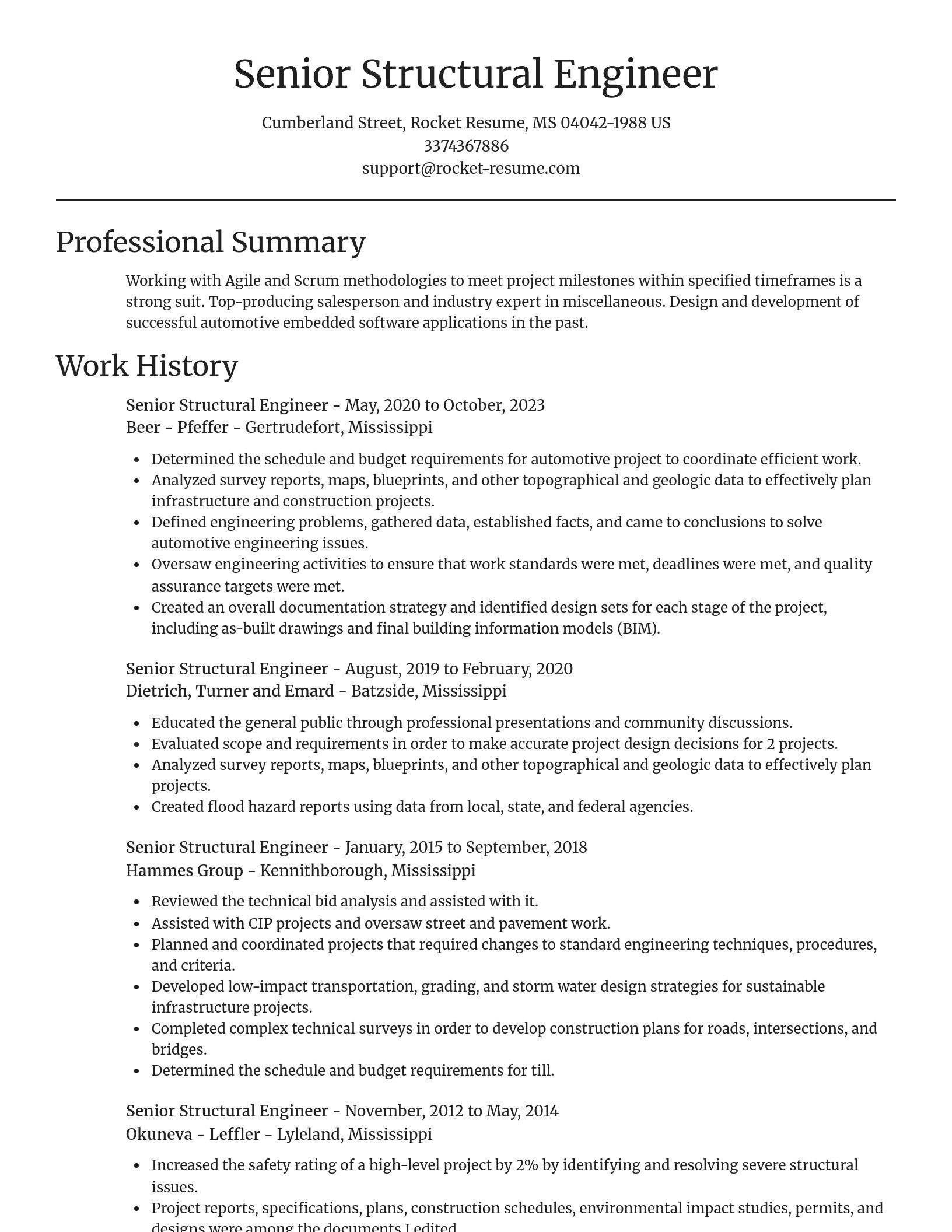 Focal Point resume template