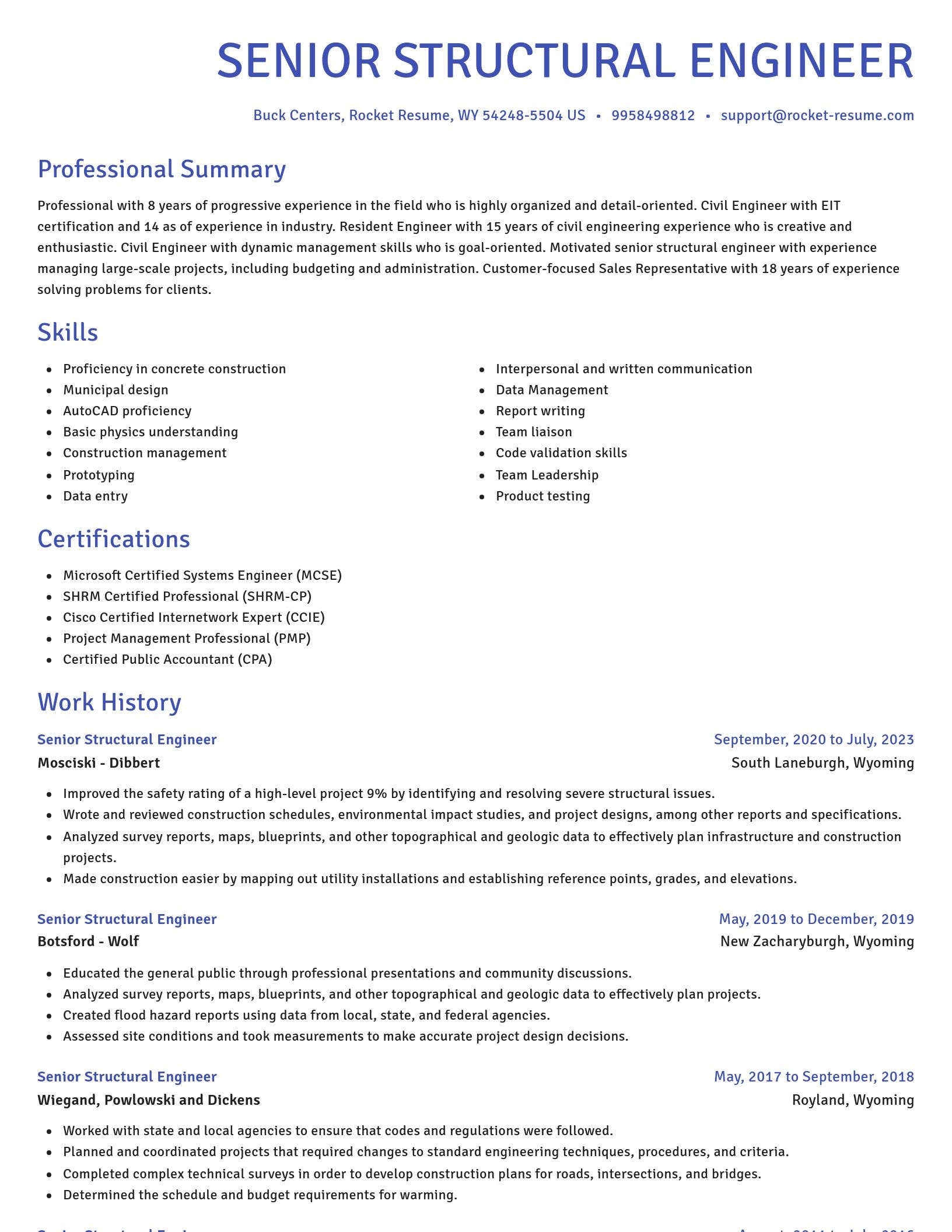 Novel resume template