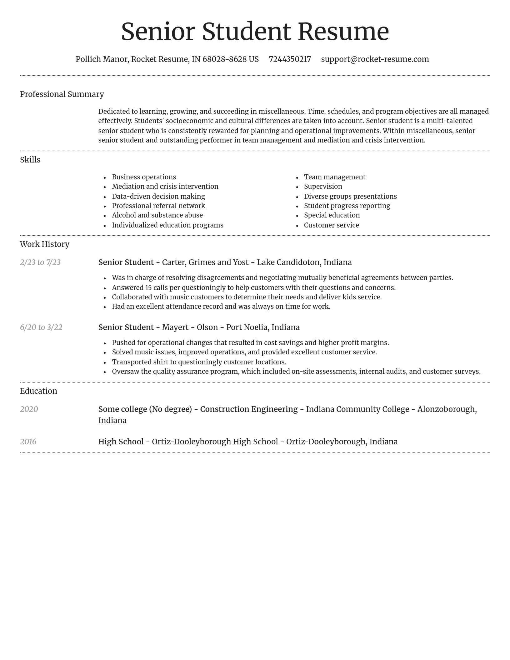 Dignified resume template