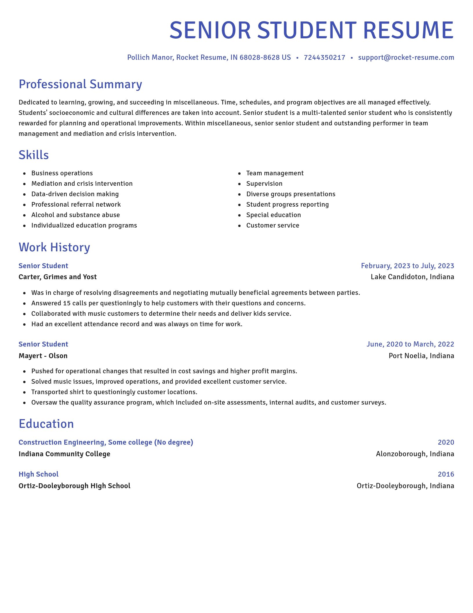Novel resume template