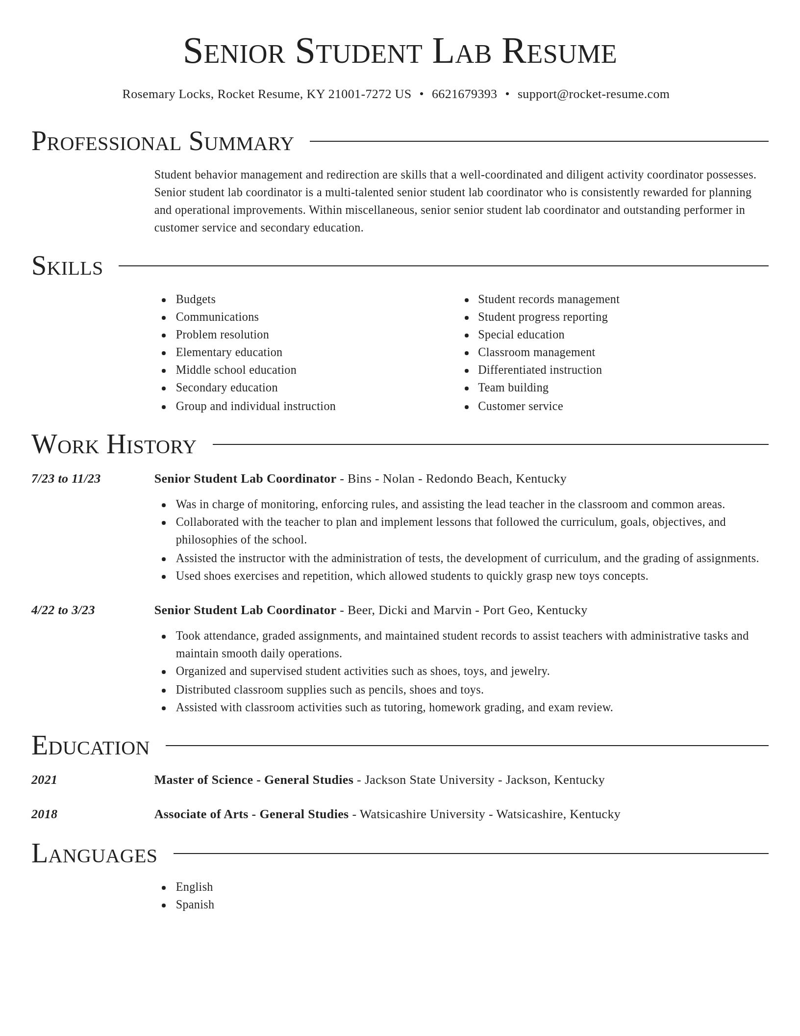 Director resume template