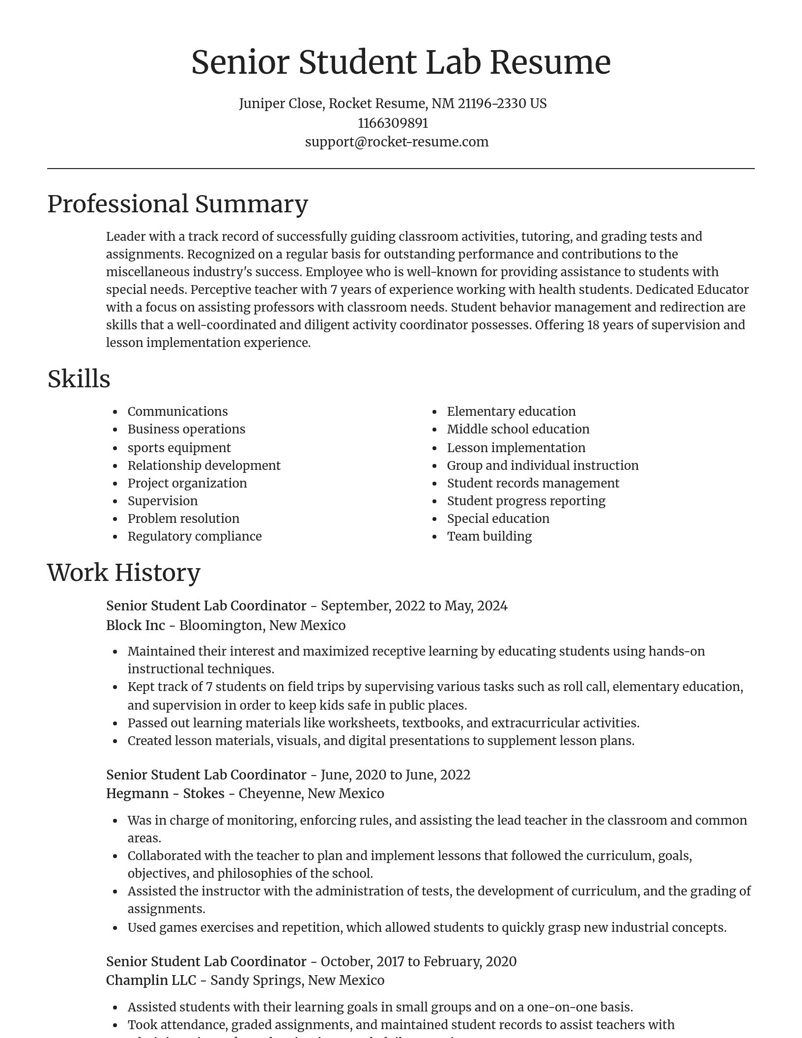 Focal Point resume template