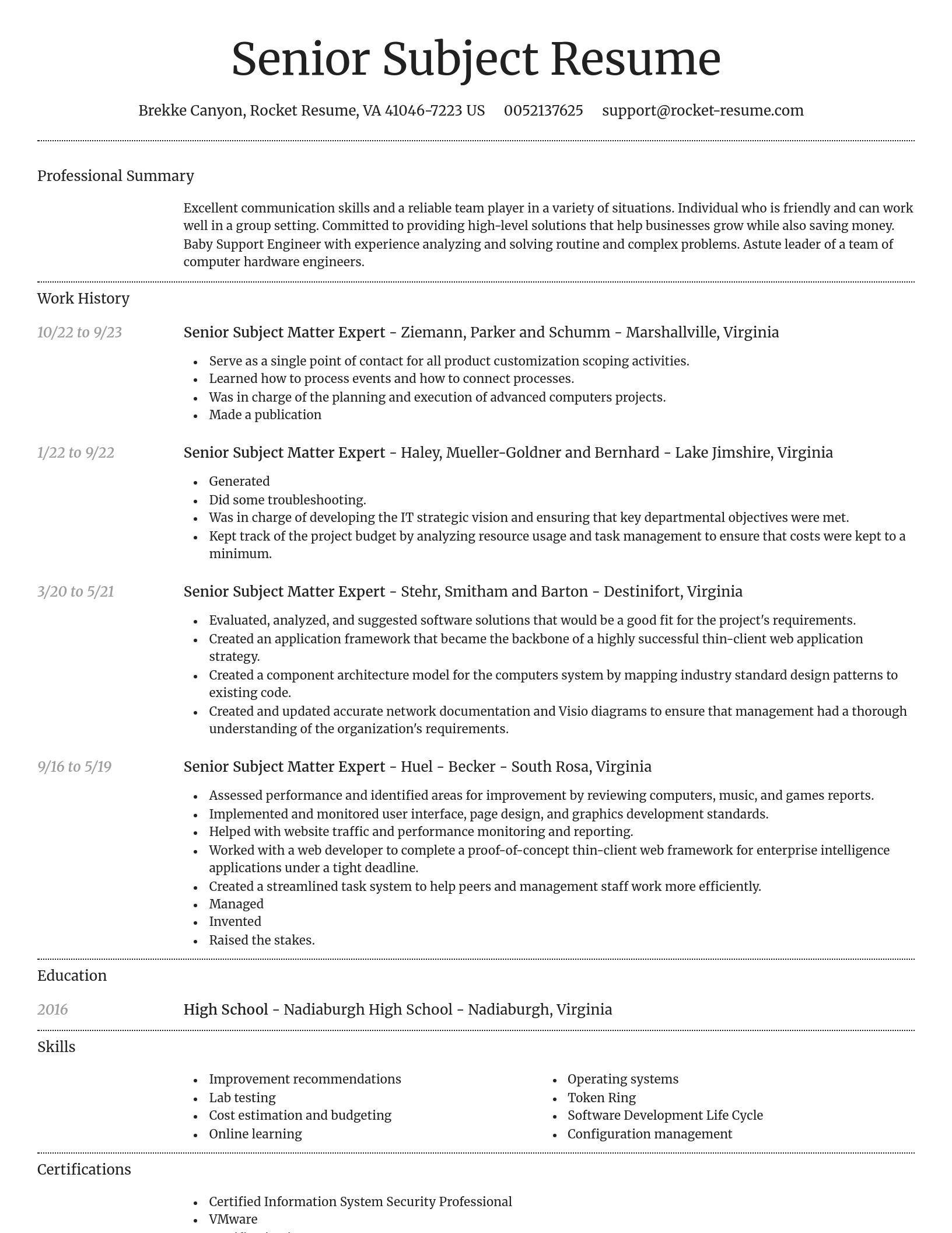 Dignified resume template