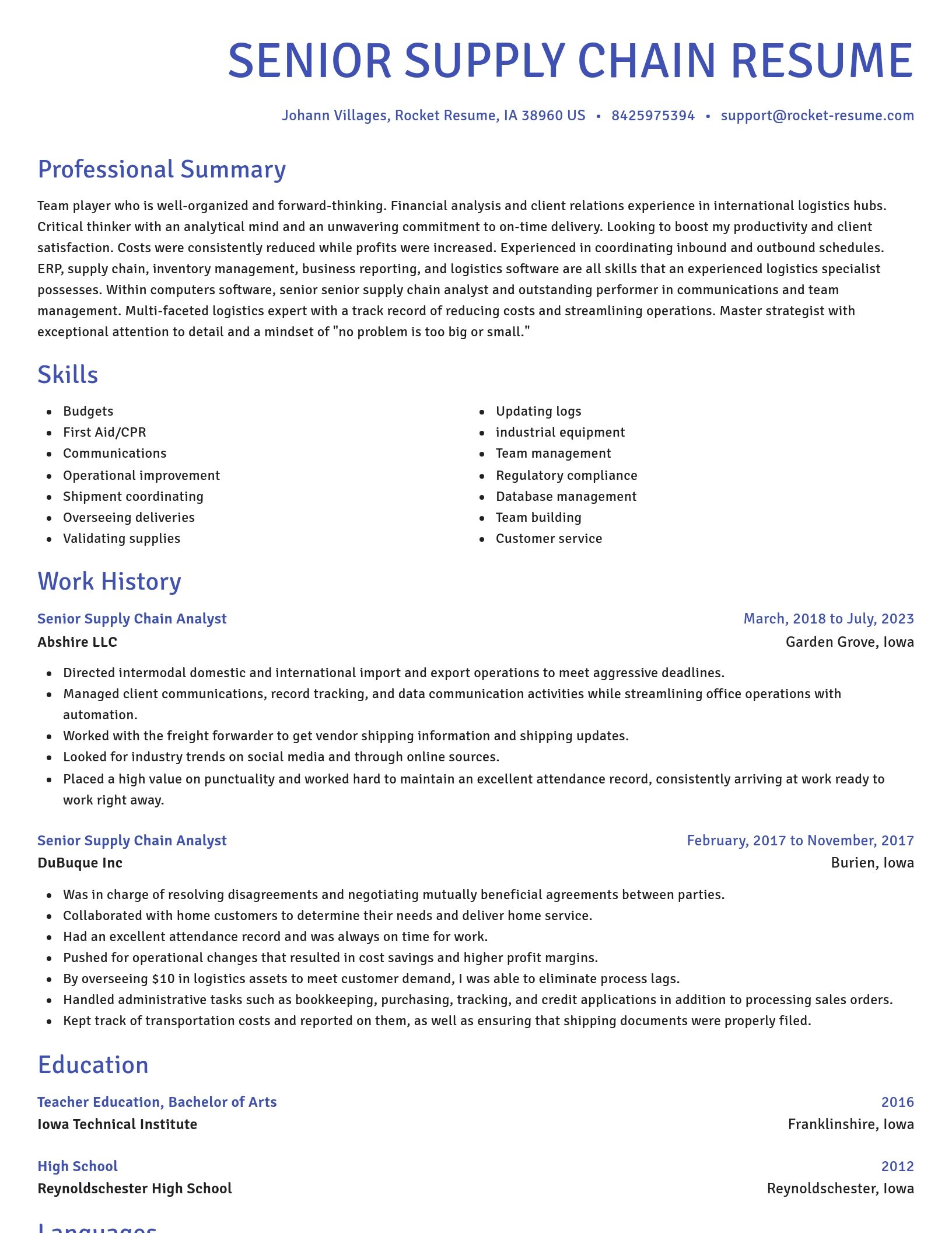 Novel resume template