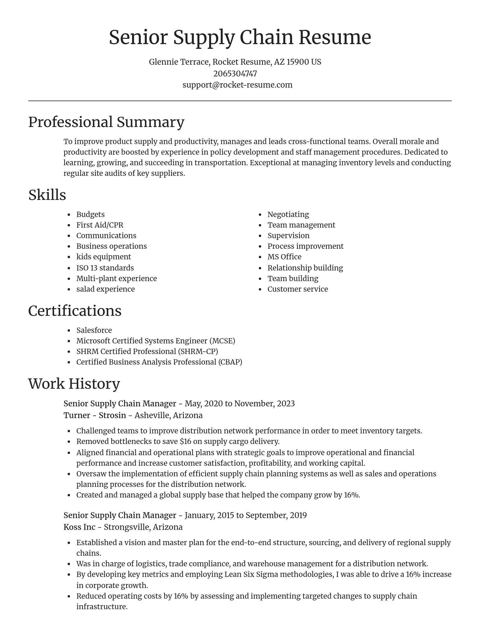 Focal Point resume template