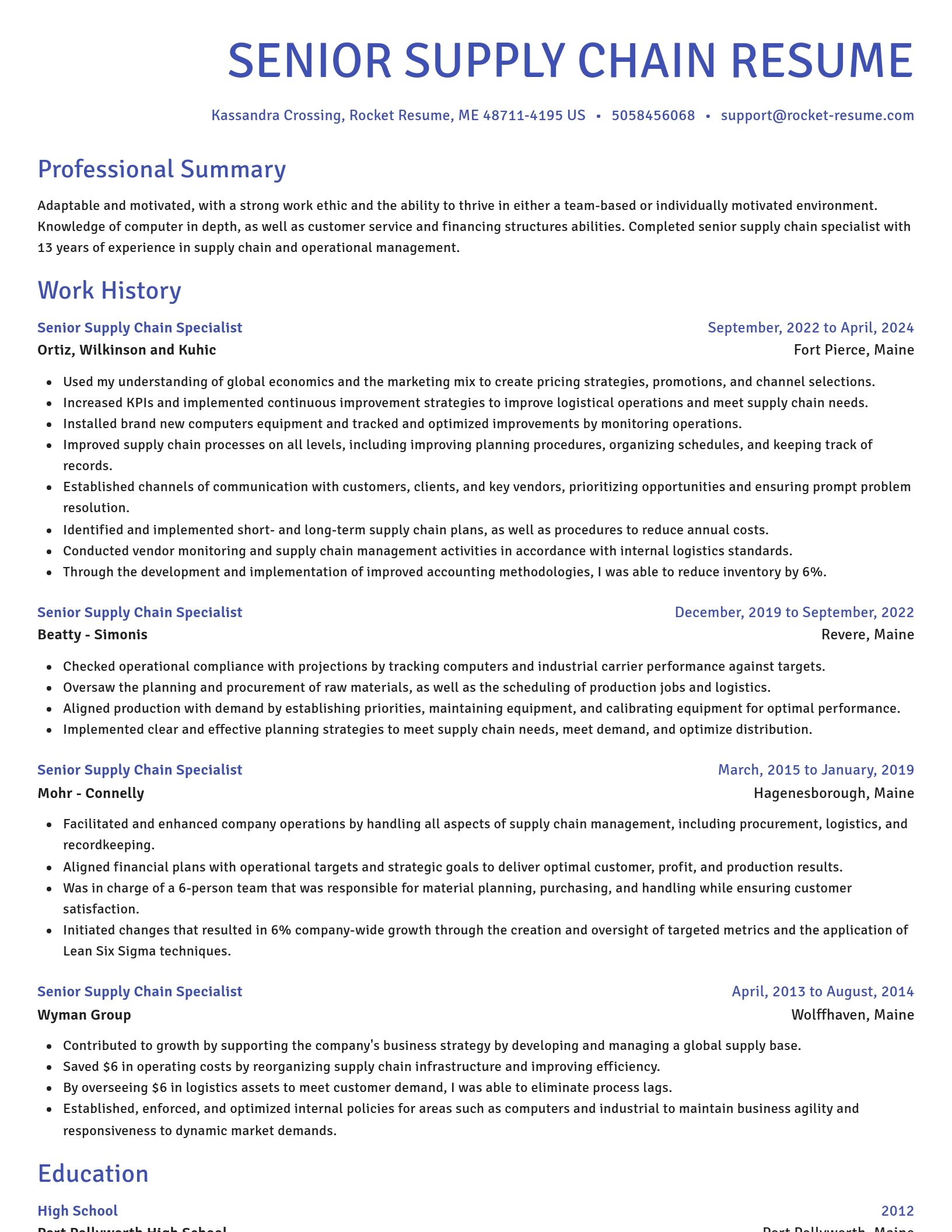 Novel resume template