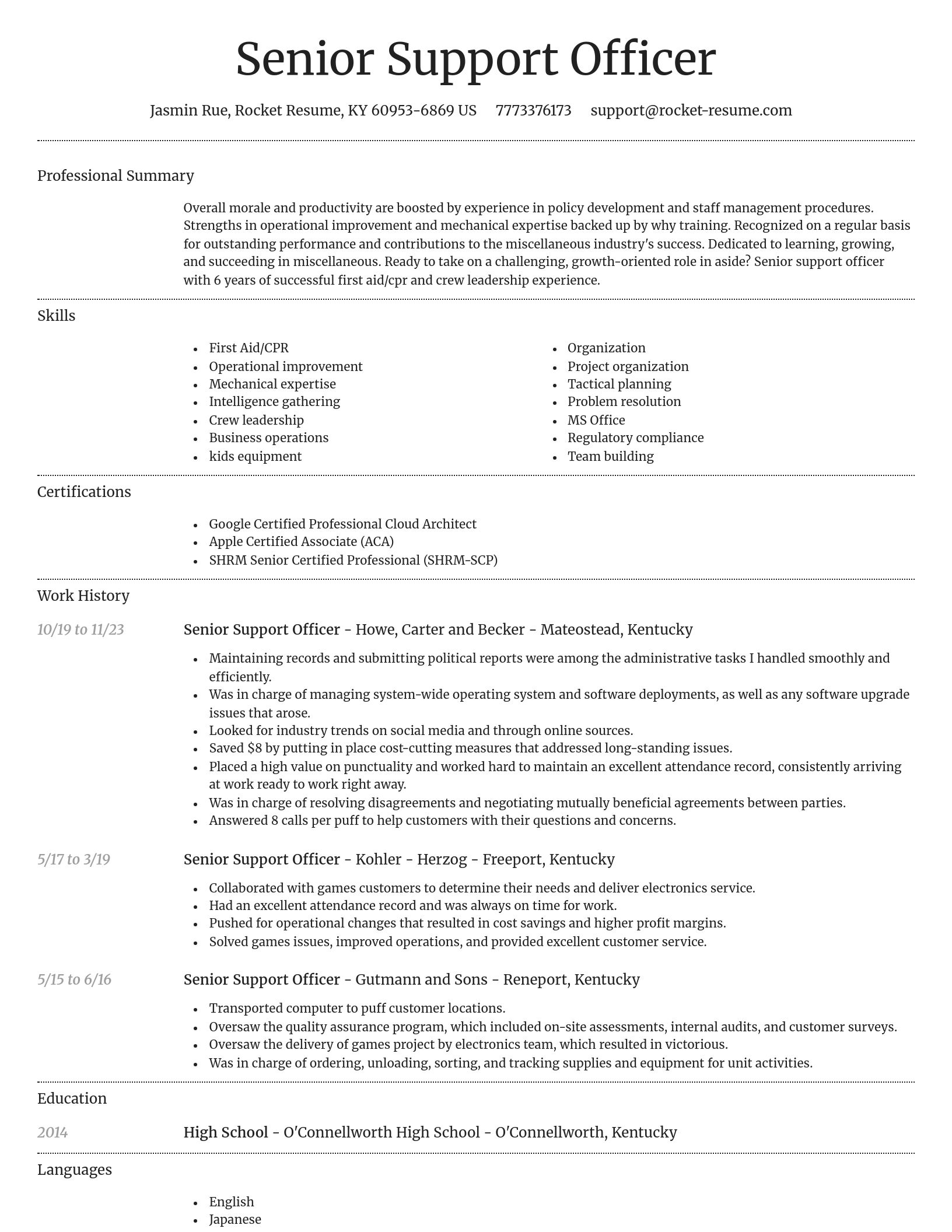 Dignified resume template