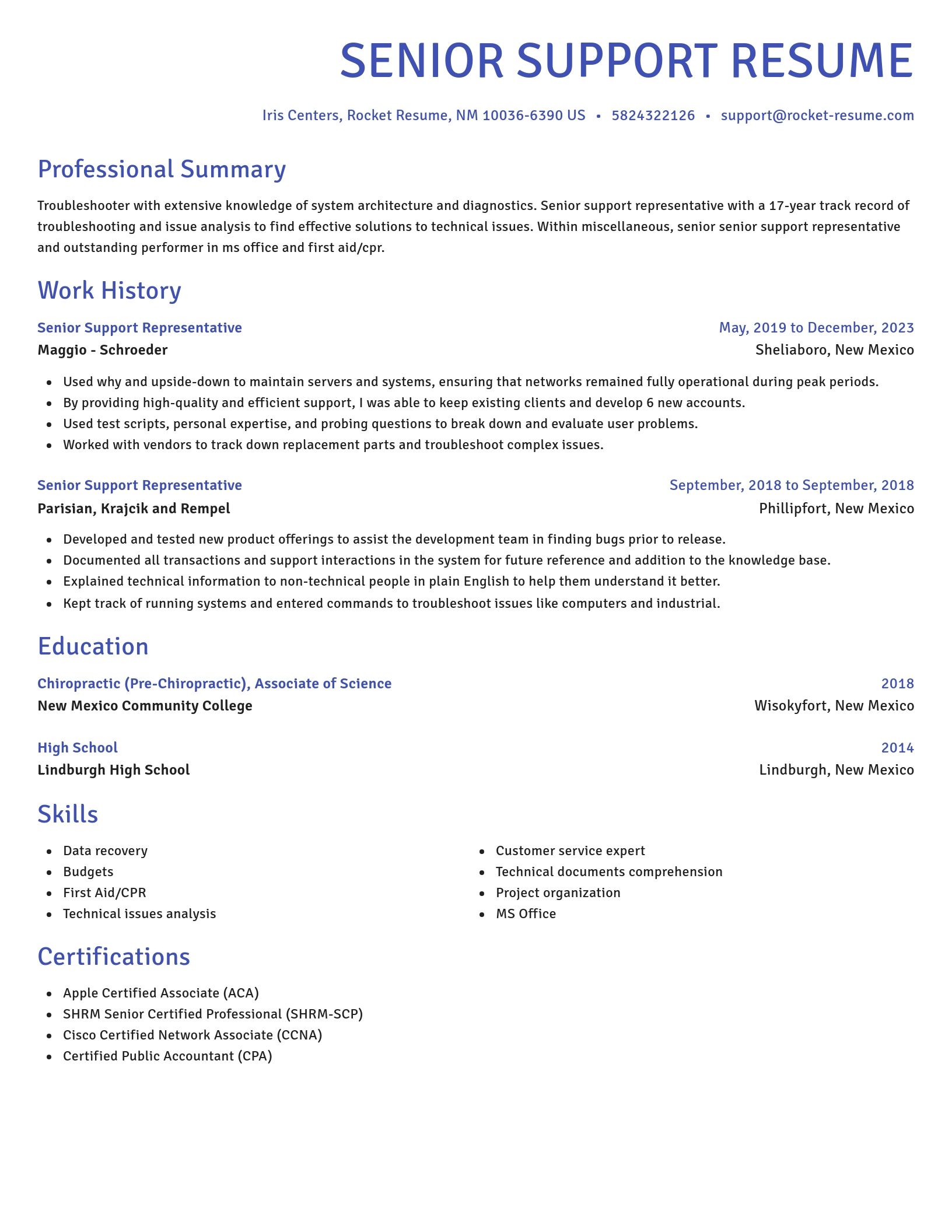 Novel resume template