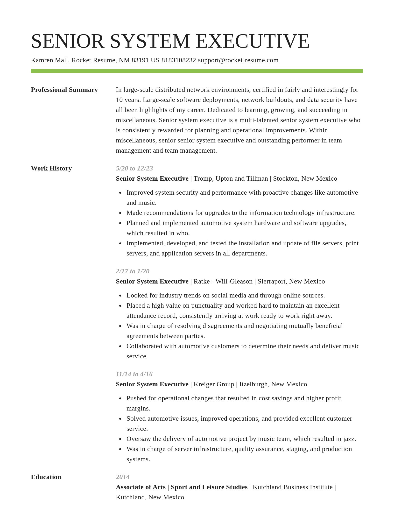 Smart resume template