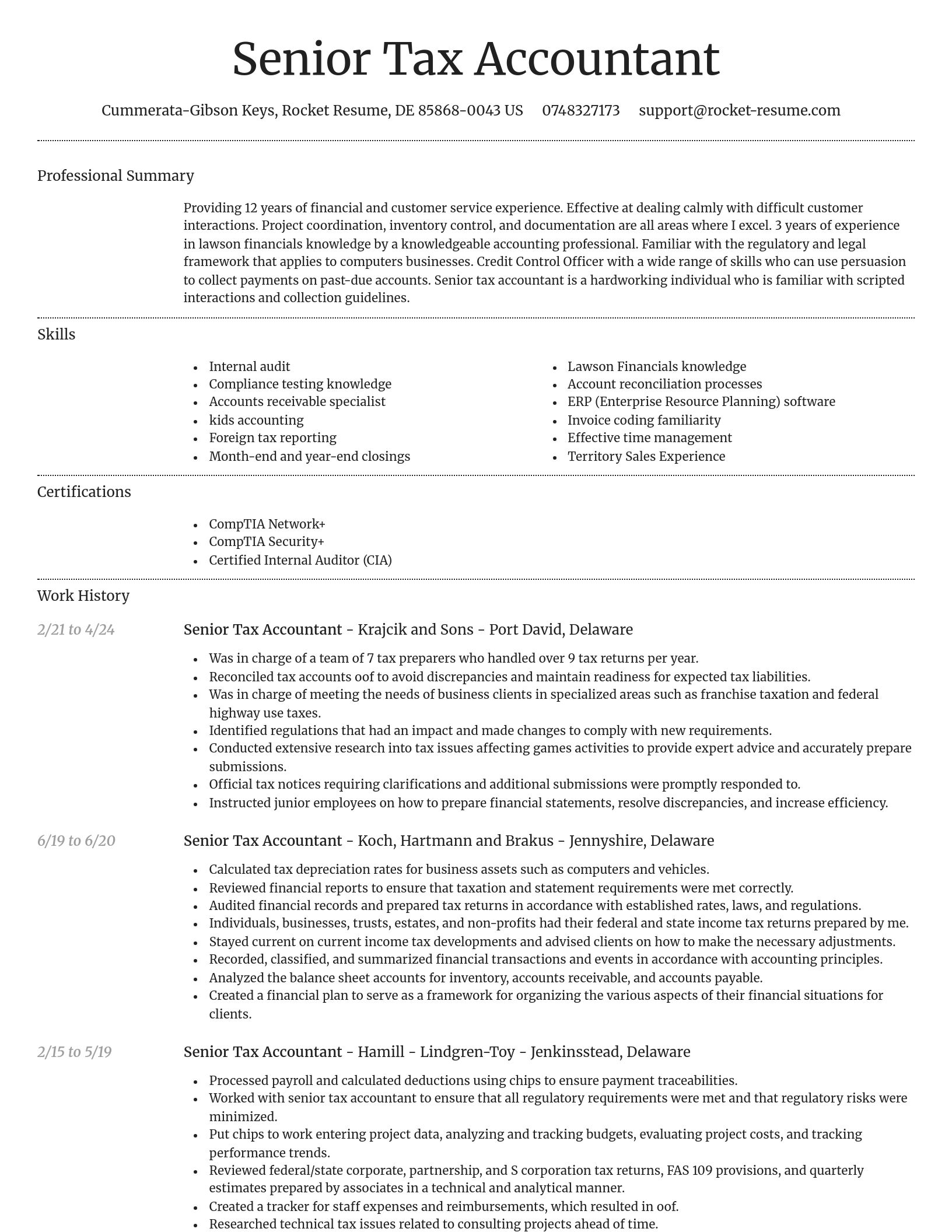 Dignified resume template