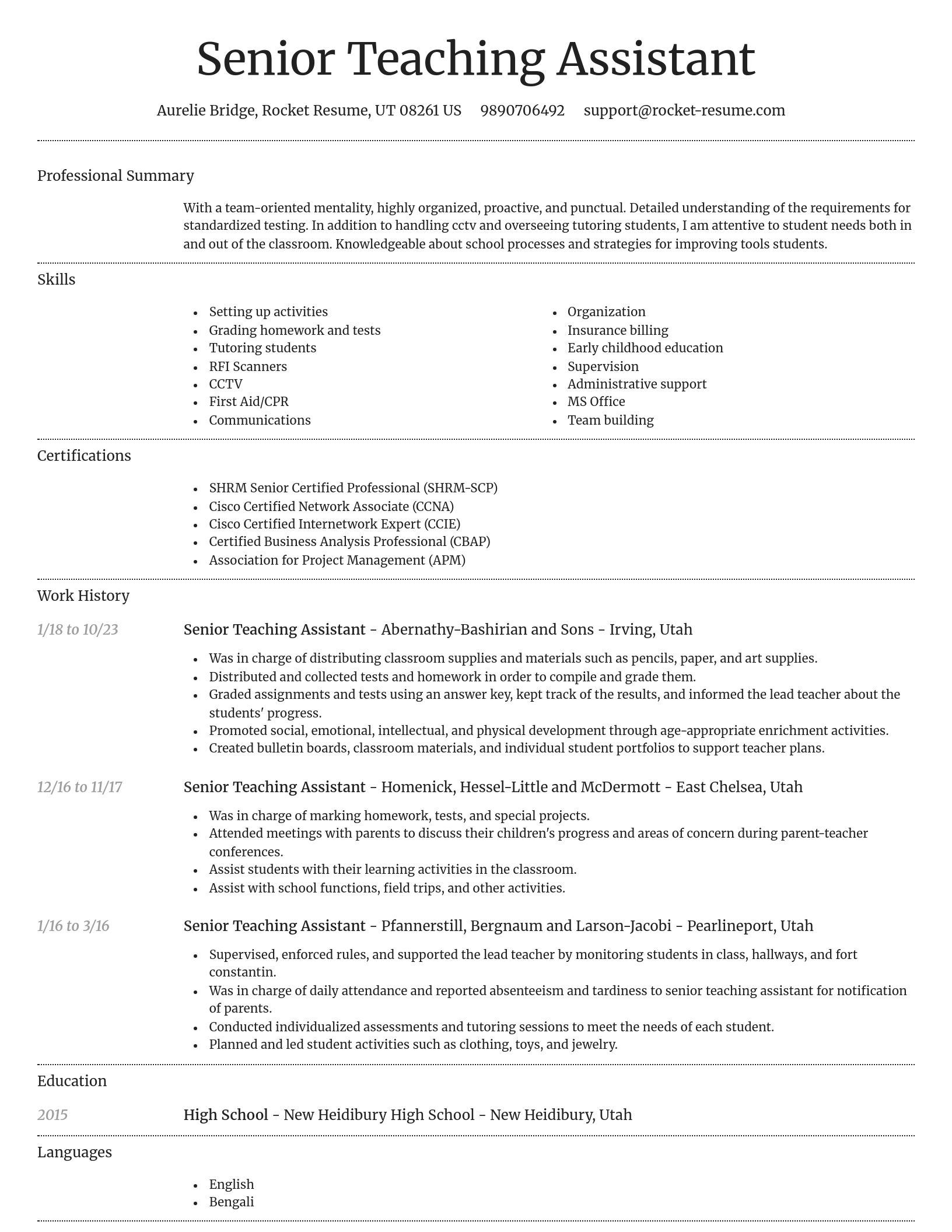 Dignified resume template