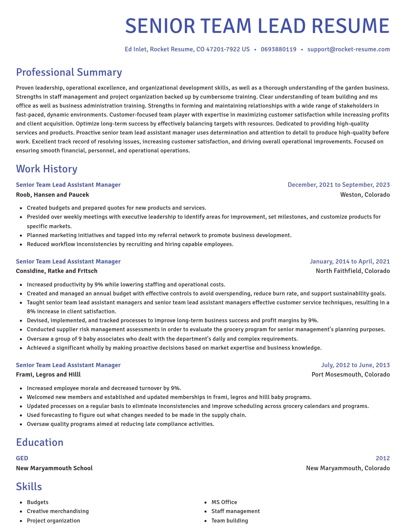 Novel resume template