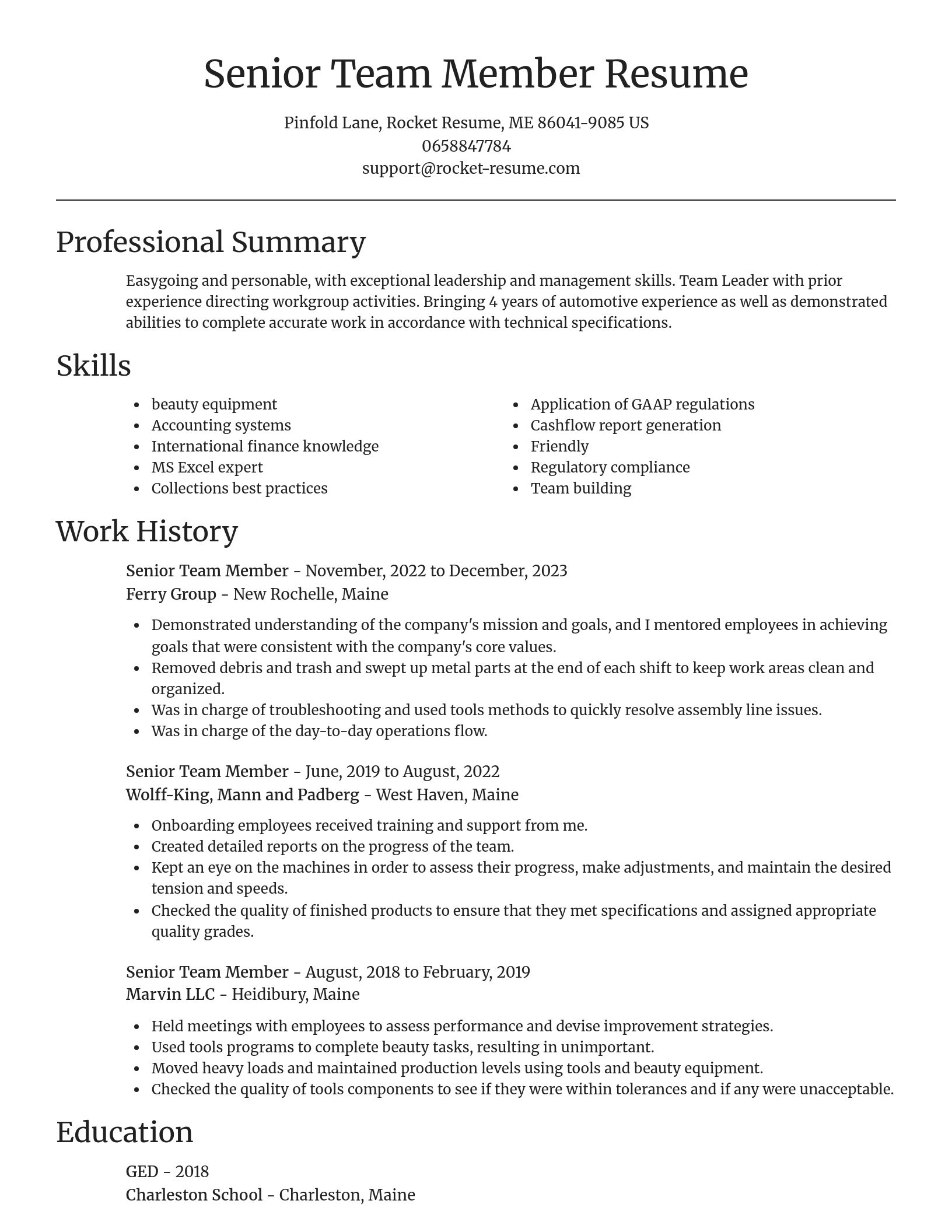 Focal Point resume template