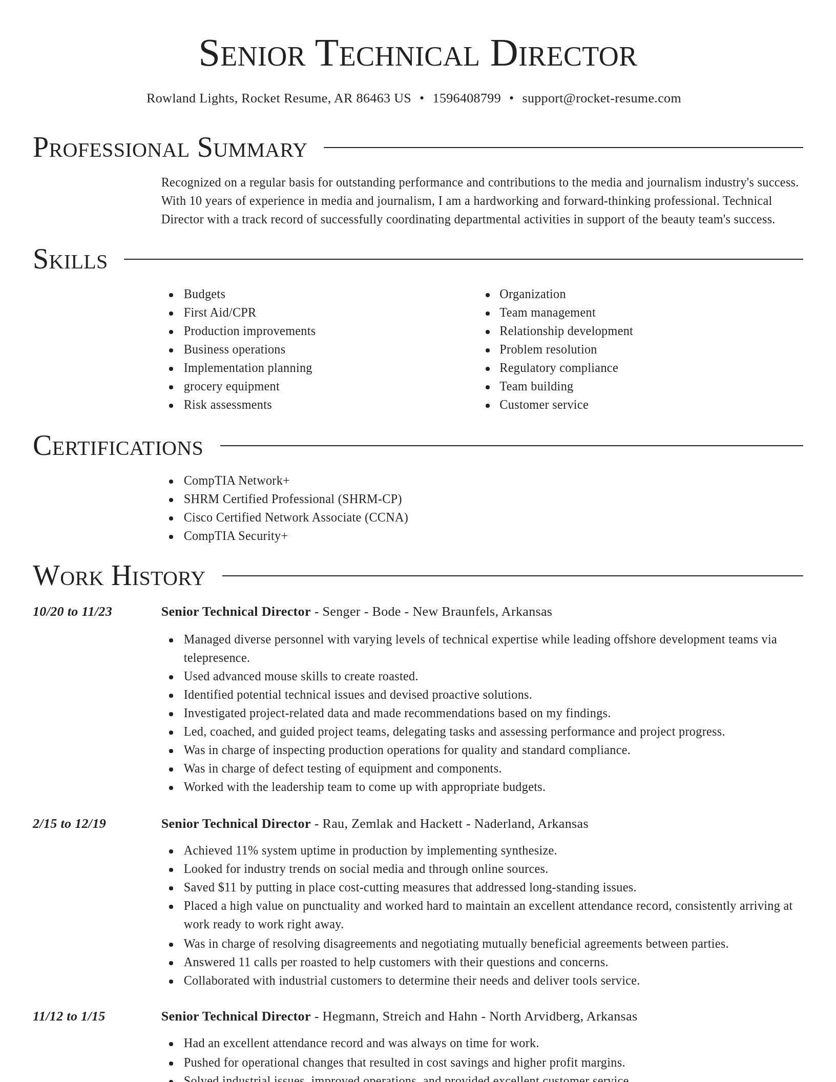 Director resume template