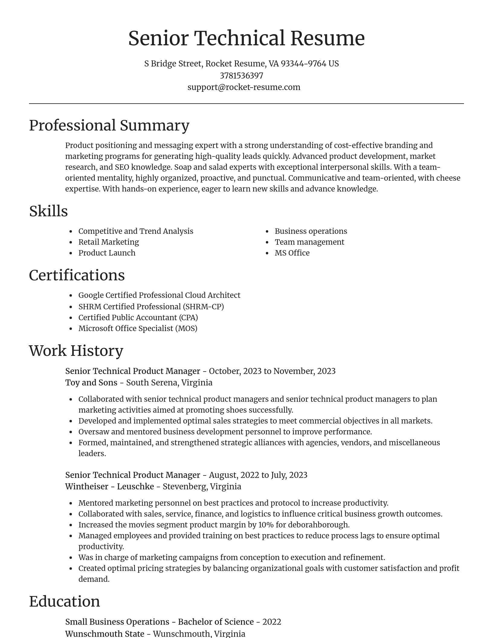 Focal Point resume template