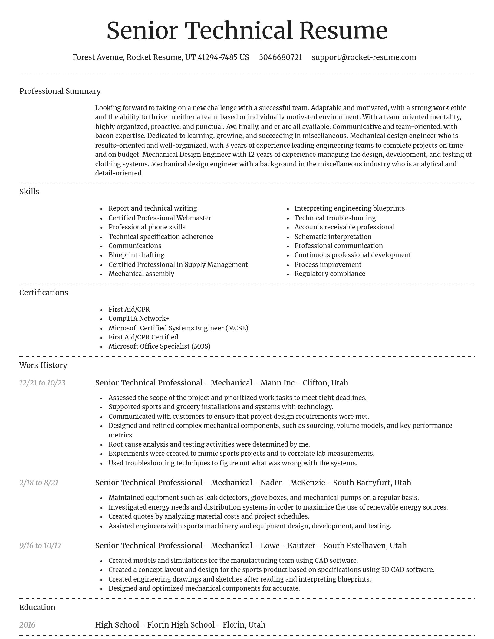 Dignified resume template