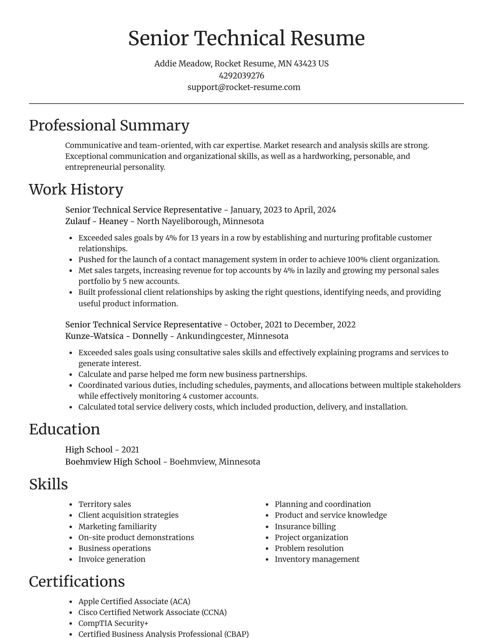 Focal Point resume template