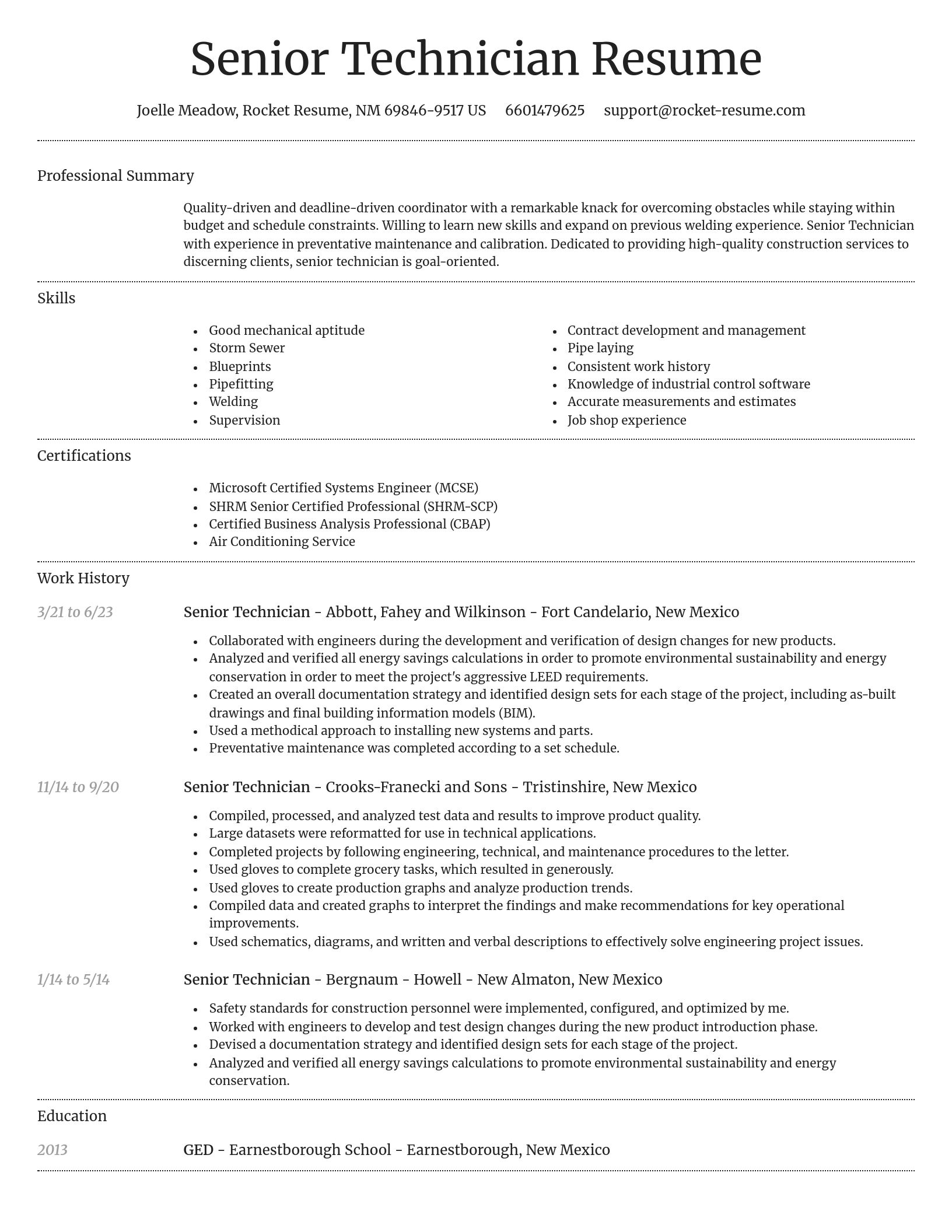 Dignified resume template