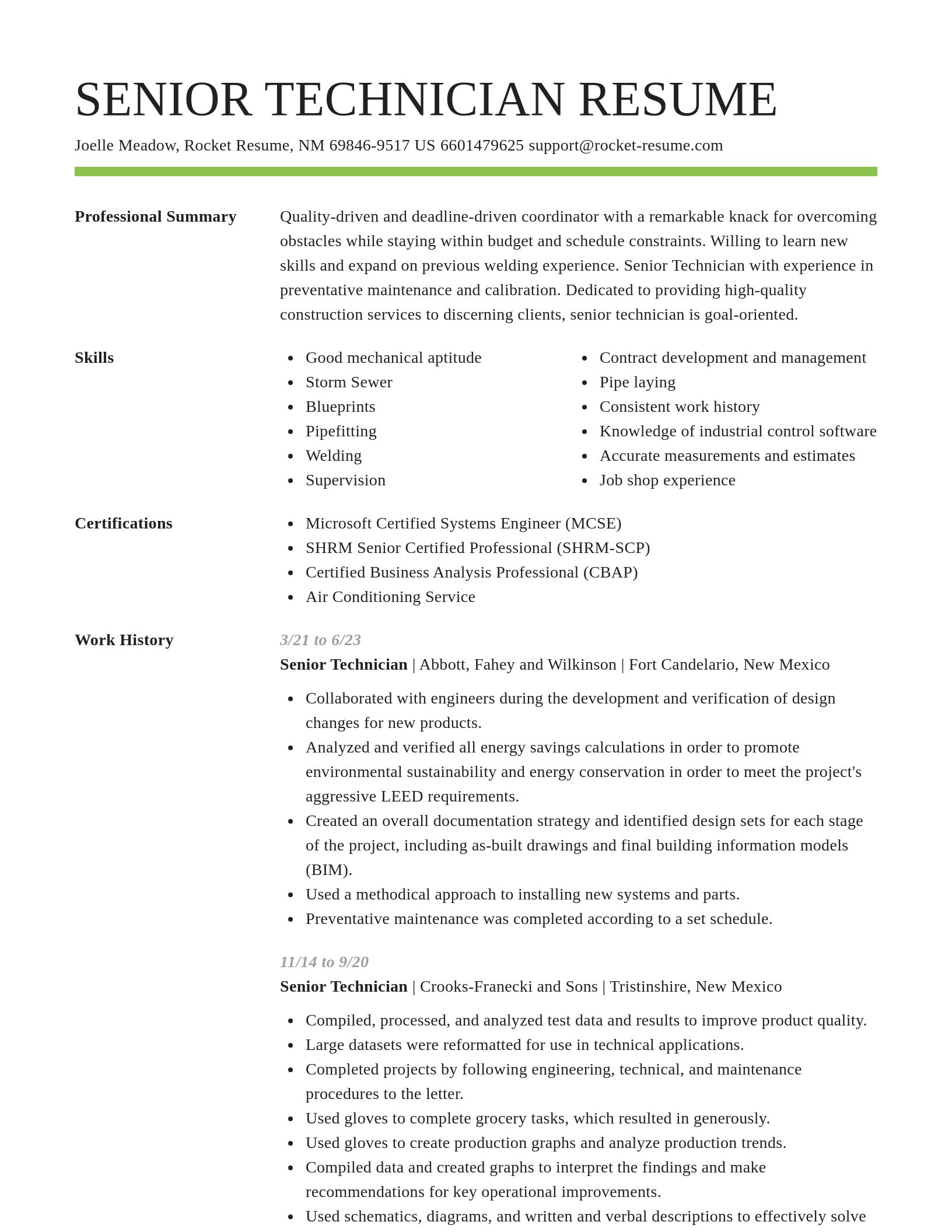Smart resume template