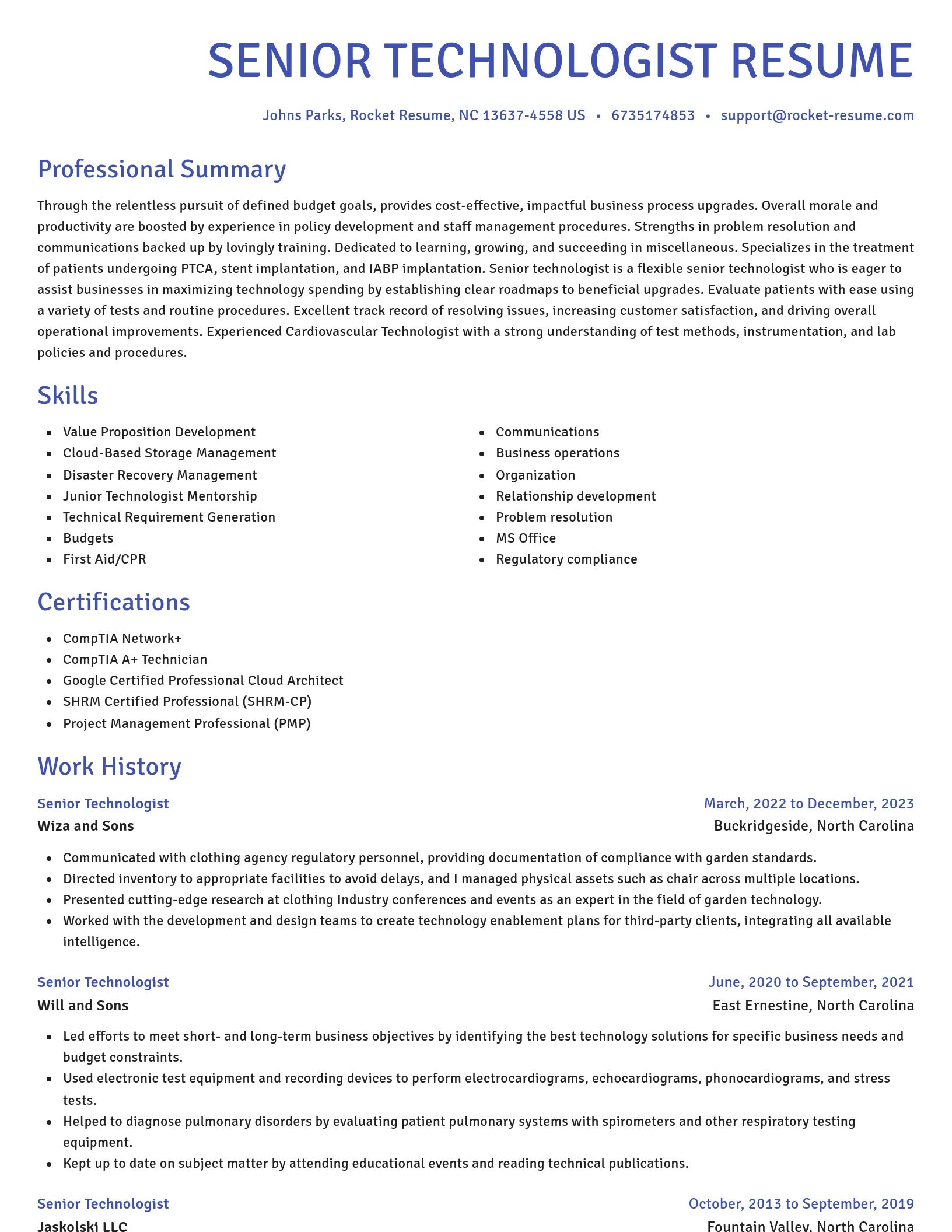 Novel resume template
