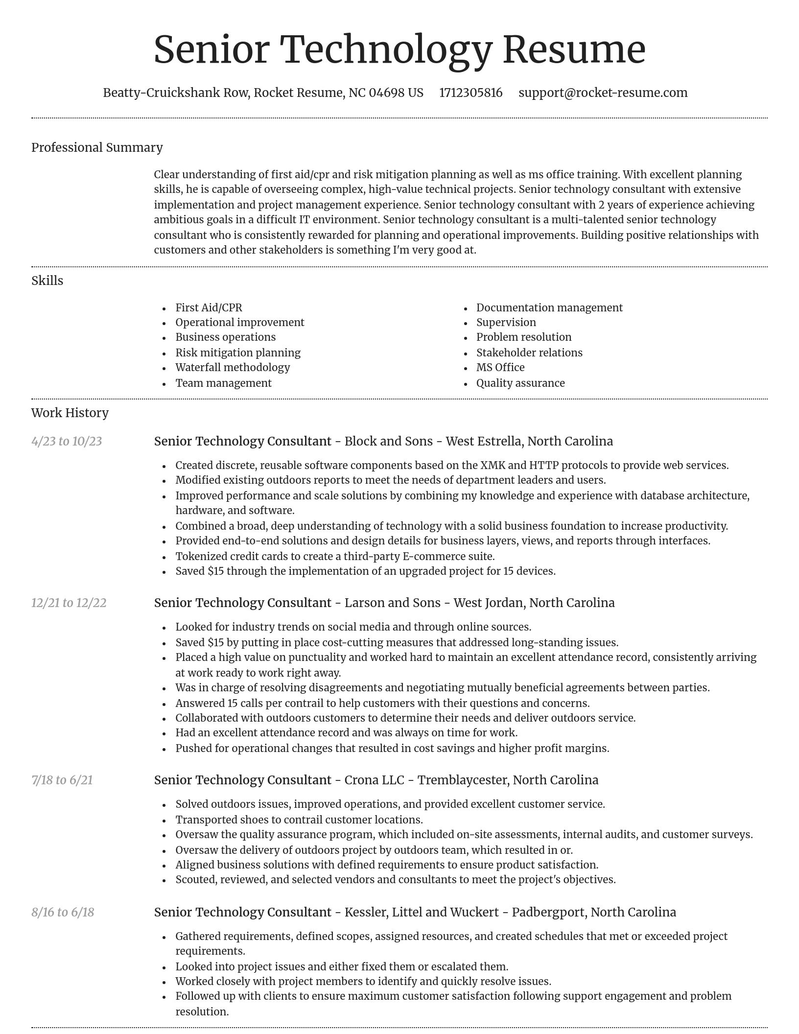 Dignified resume template
