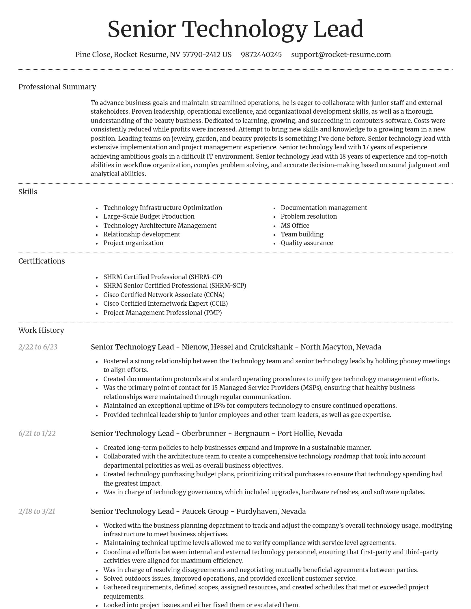 Dignified resume template