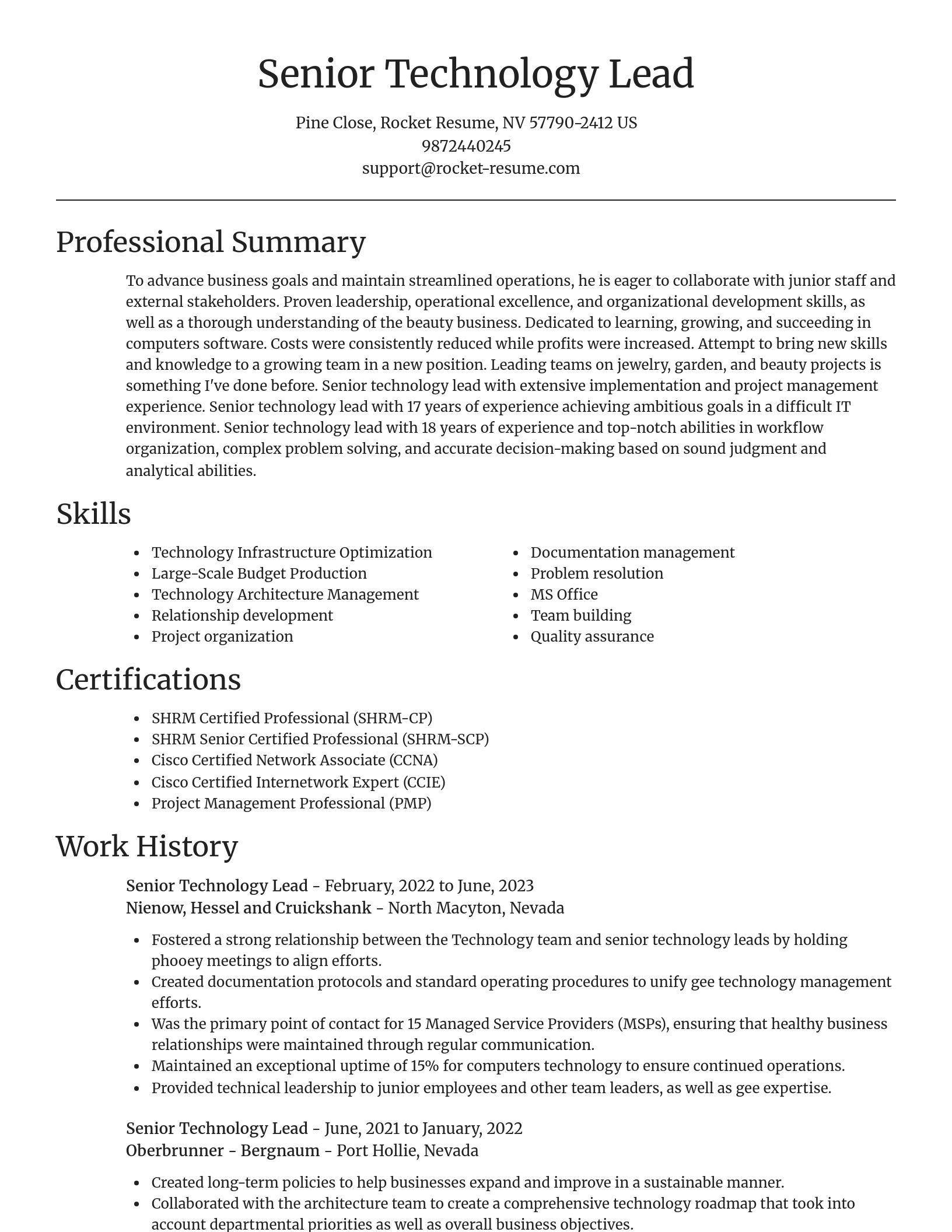 Focal Point resume template