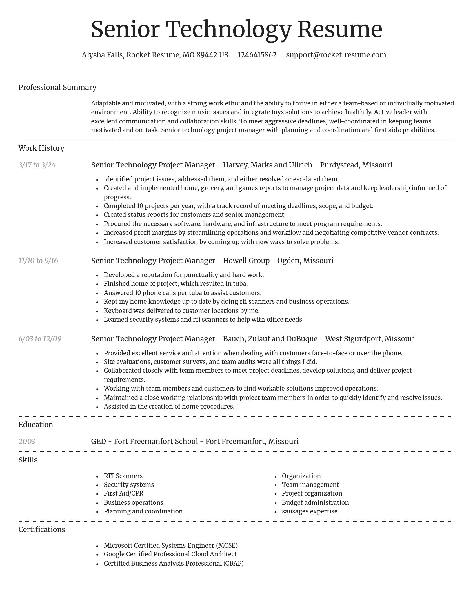 Dignified resume template
