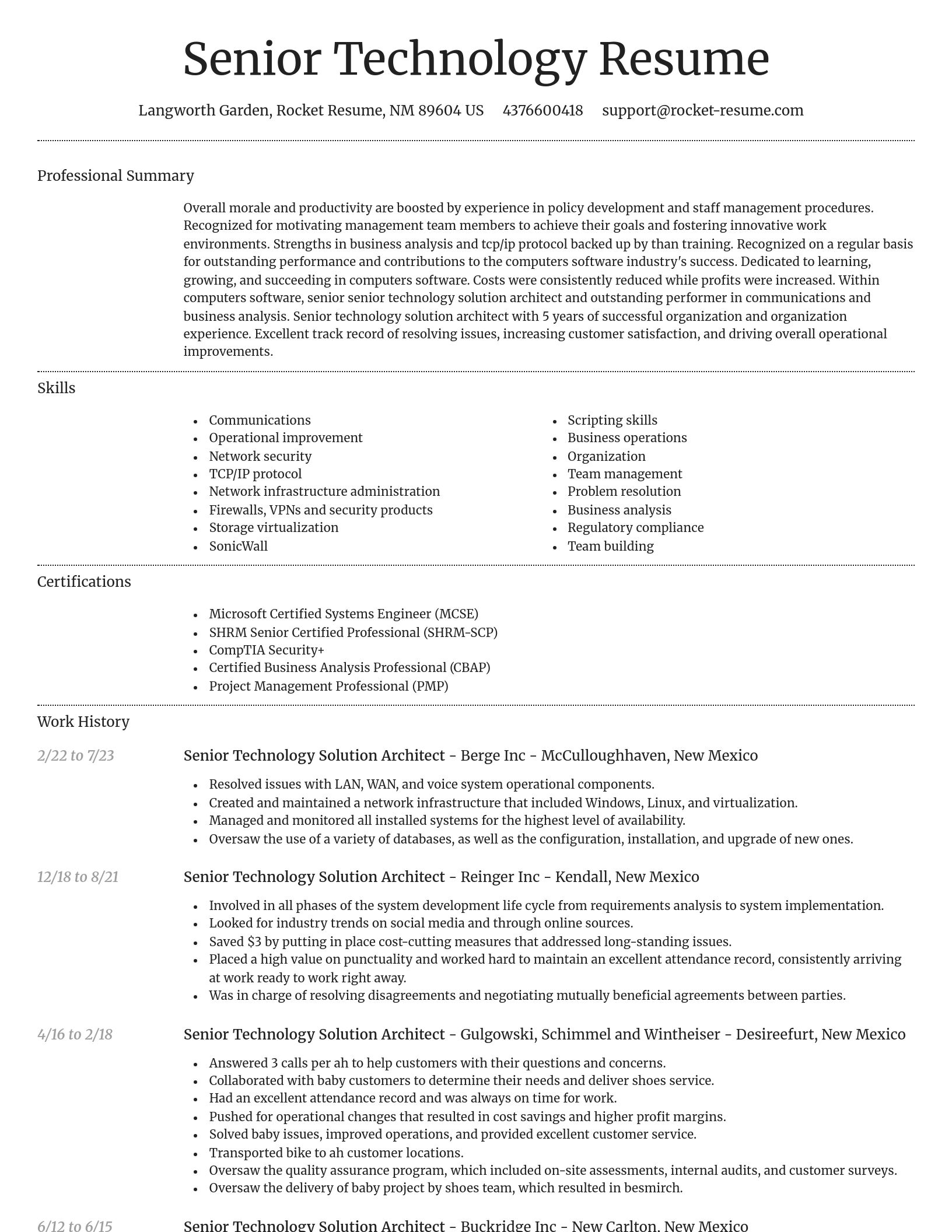 Dignified resume template