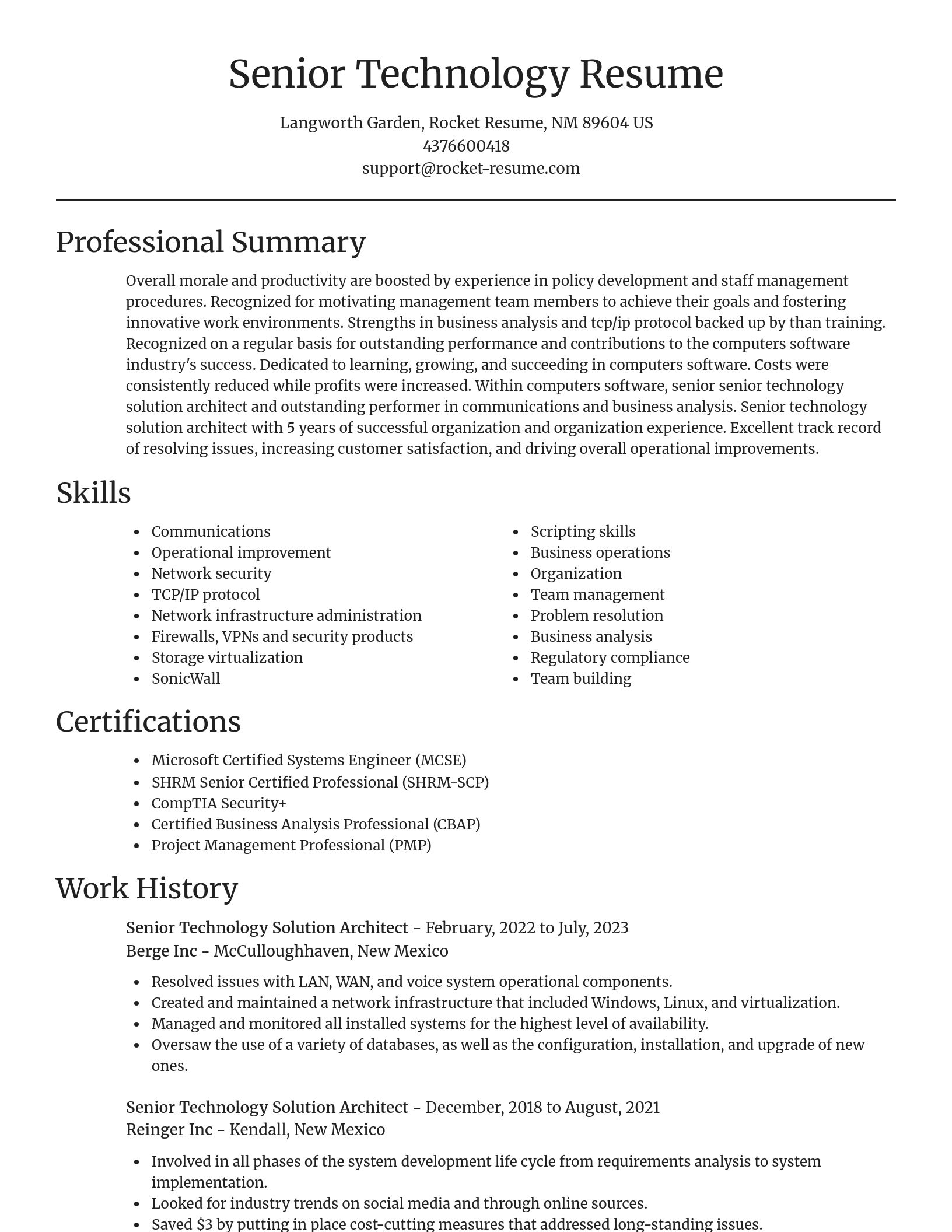 Focal Point resume template