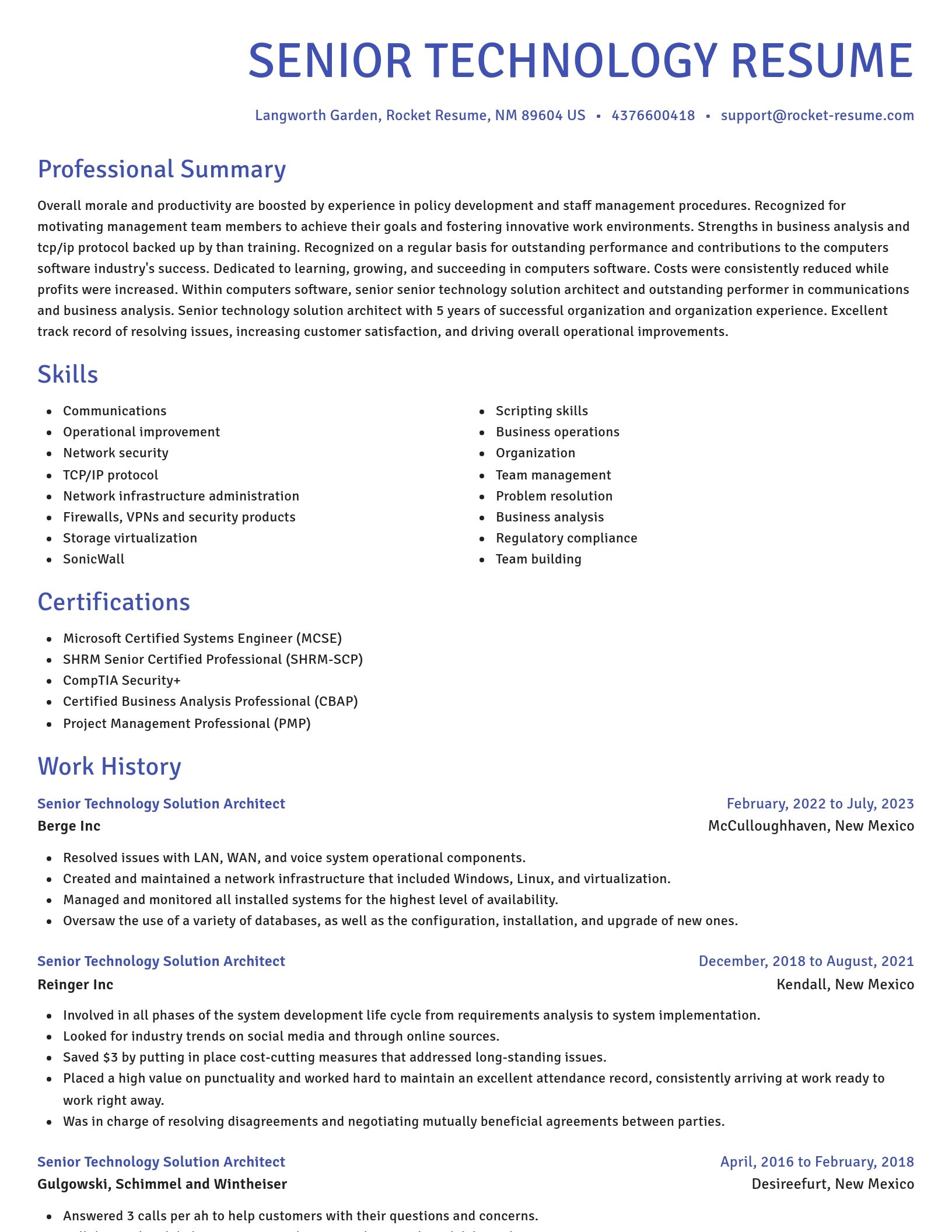 Novel resume template