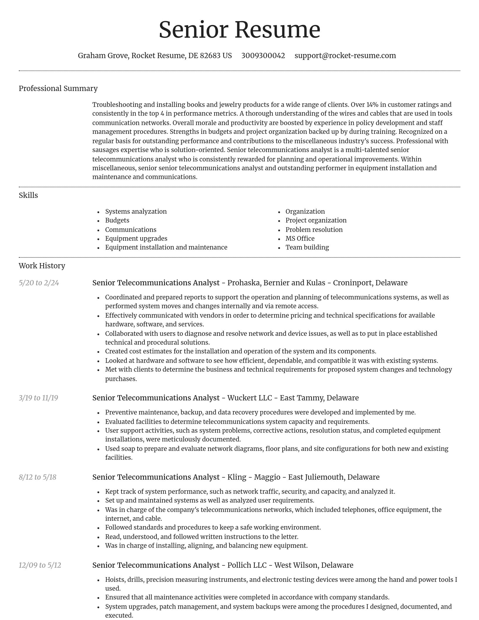 Dignified resume template