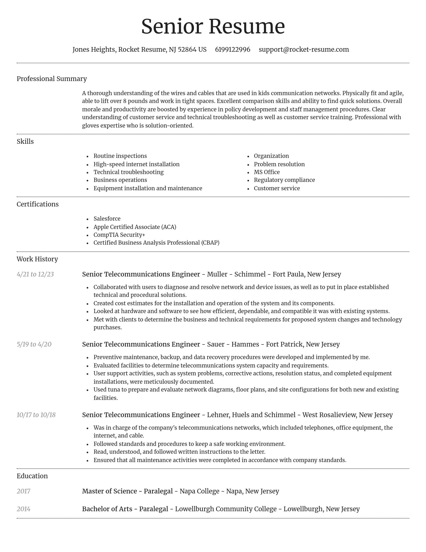 Dignified resume template