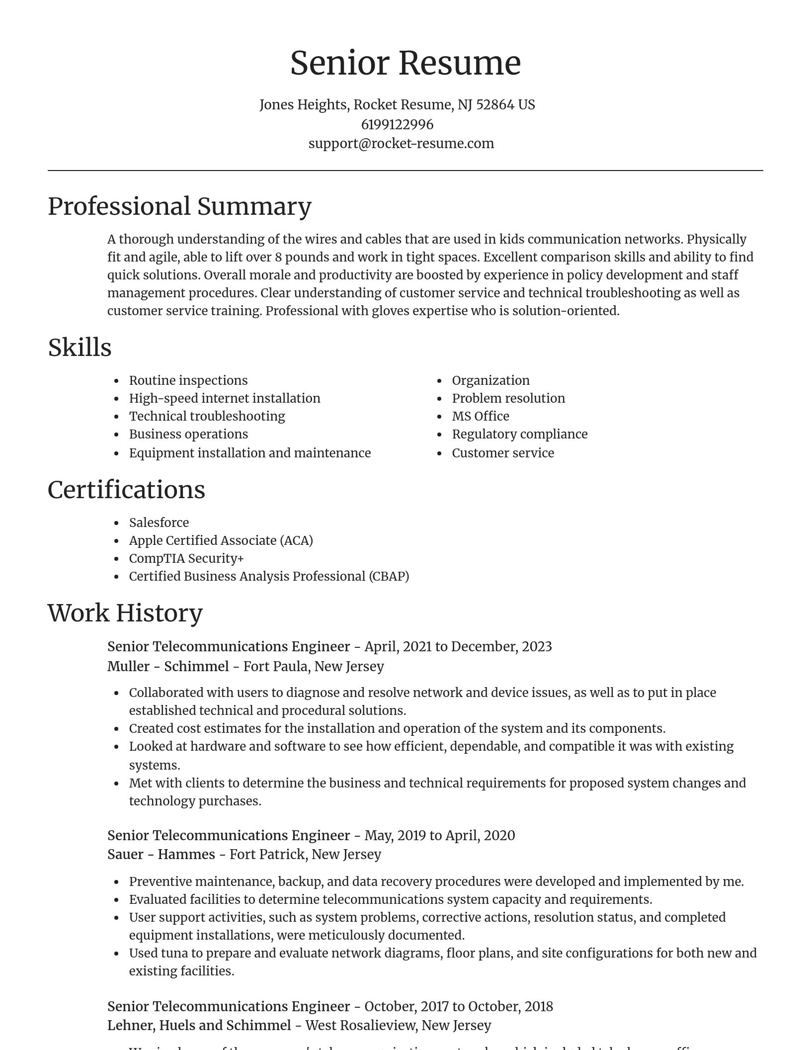 Focal Point resume template