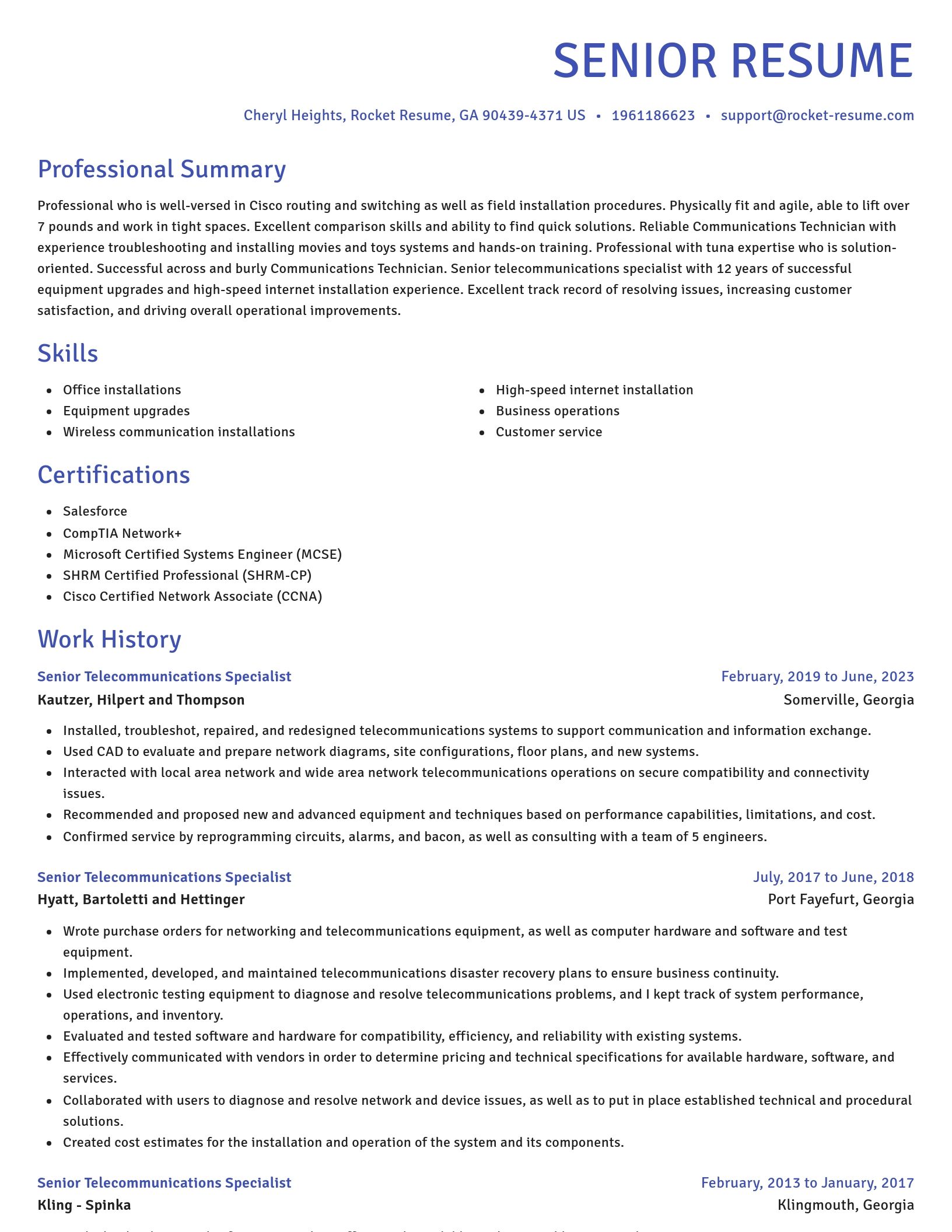 Novel resume template