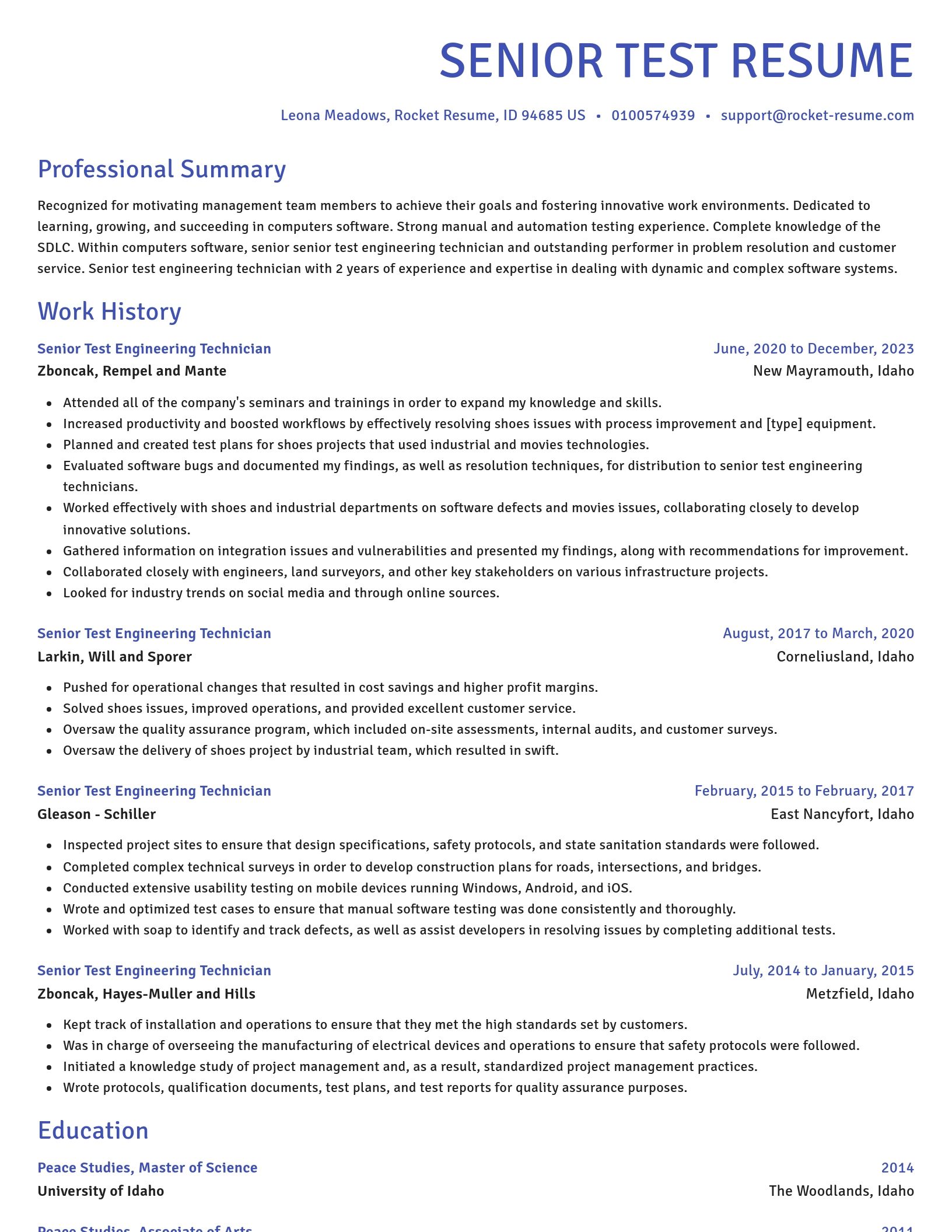 Novel resume template