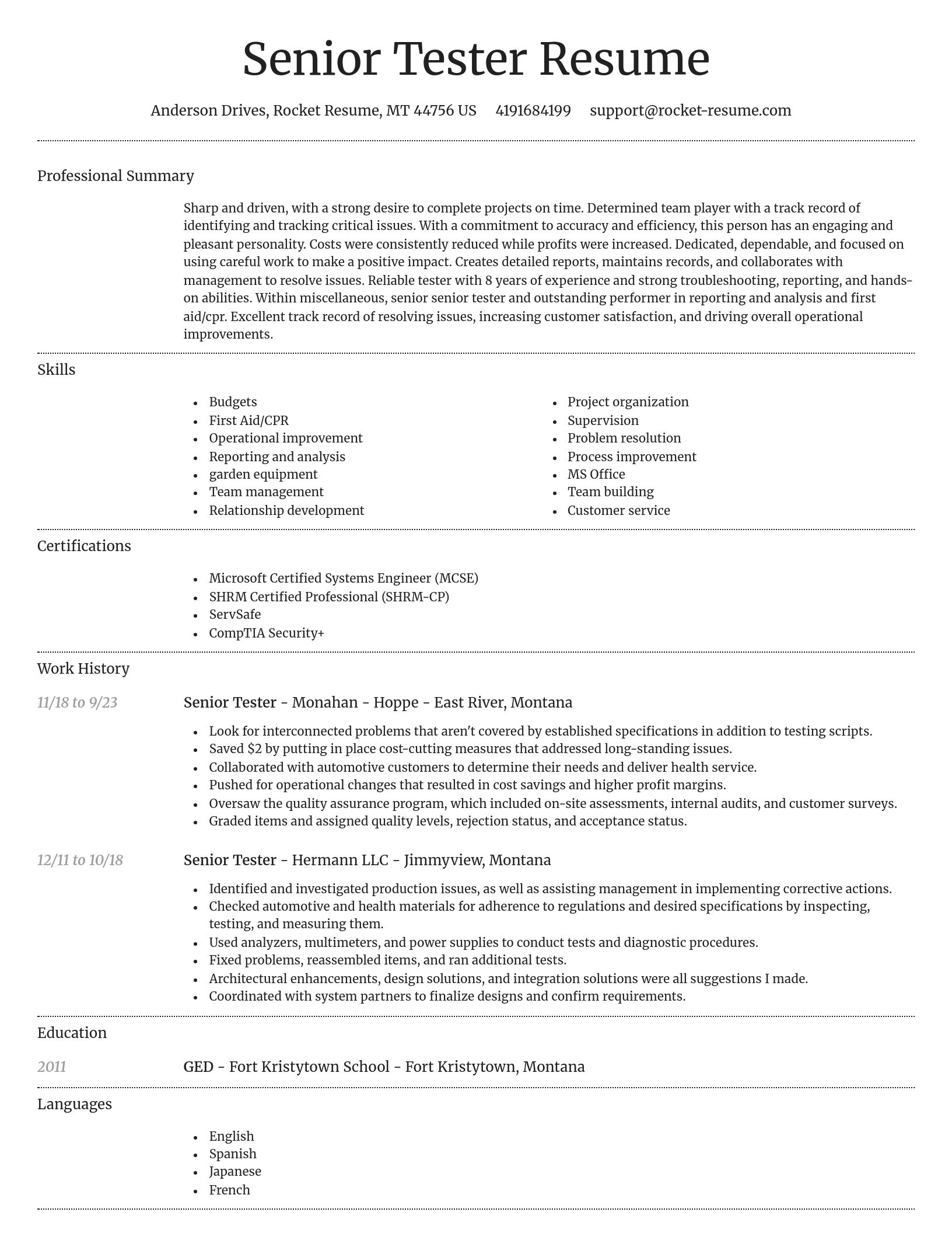 Dignified resume template