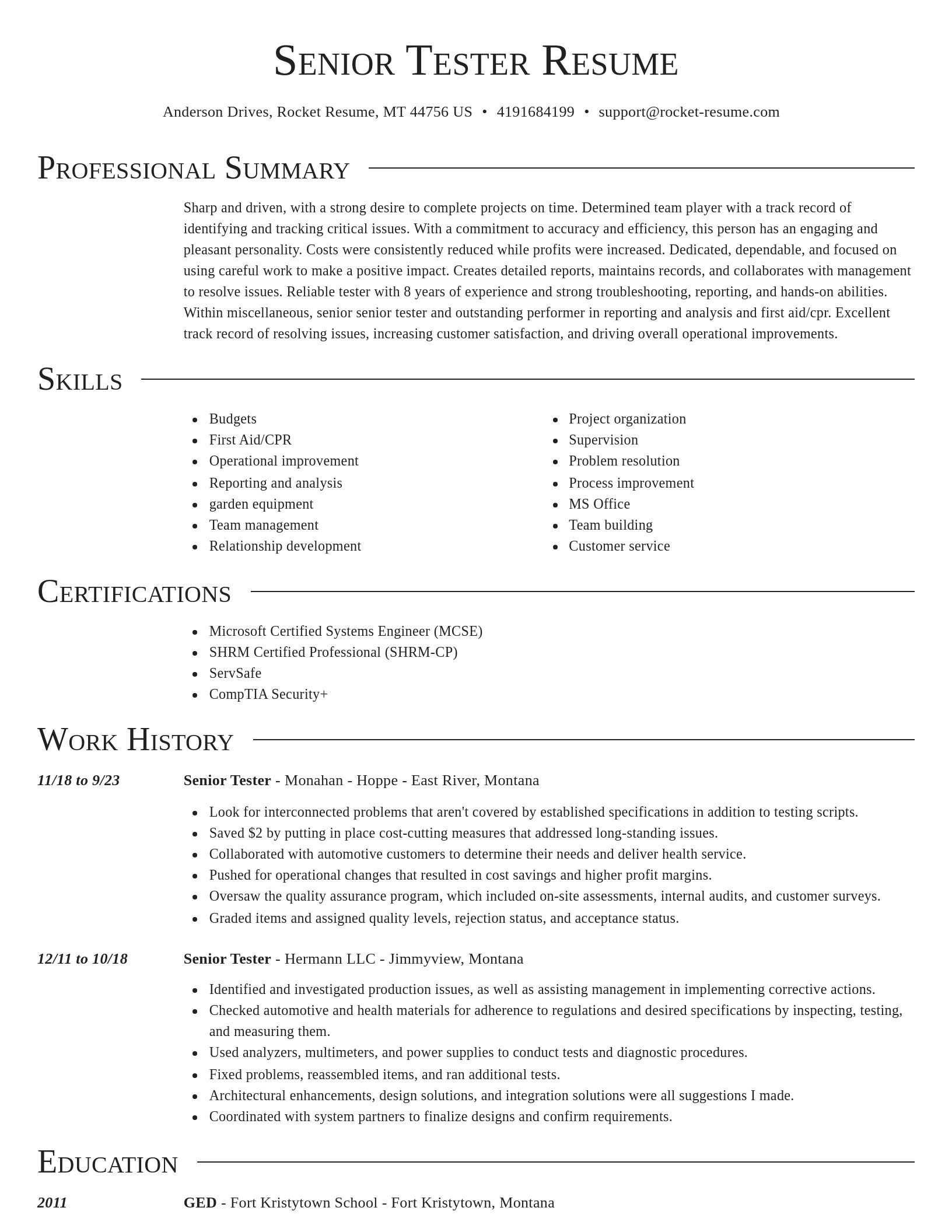Director resume template